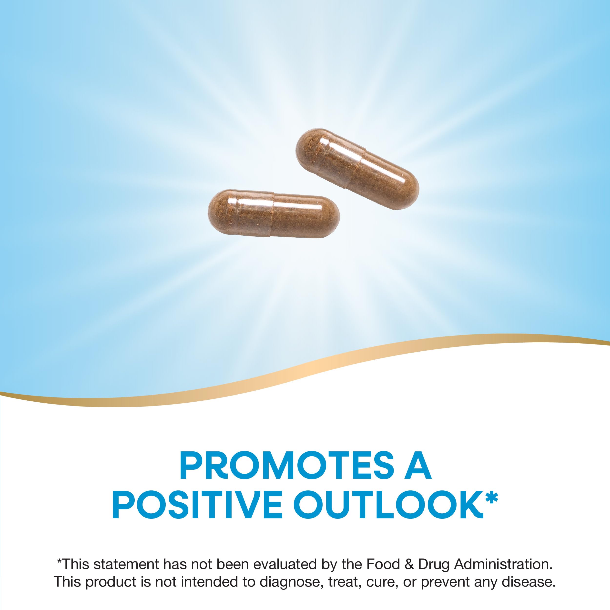 Nature's Way St. John's Wort Herb, Promotes a Positive Outlook*, 700 mg per 2-Capsule Serving, Non-GMO Project Verified, Vegan, 100 Capsules (Packaging May Vary)