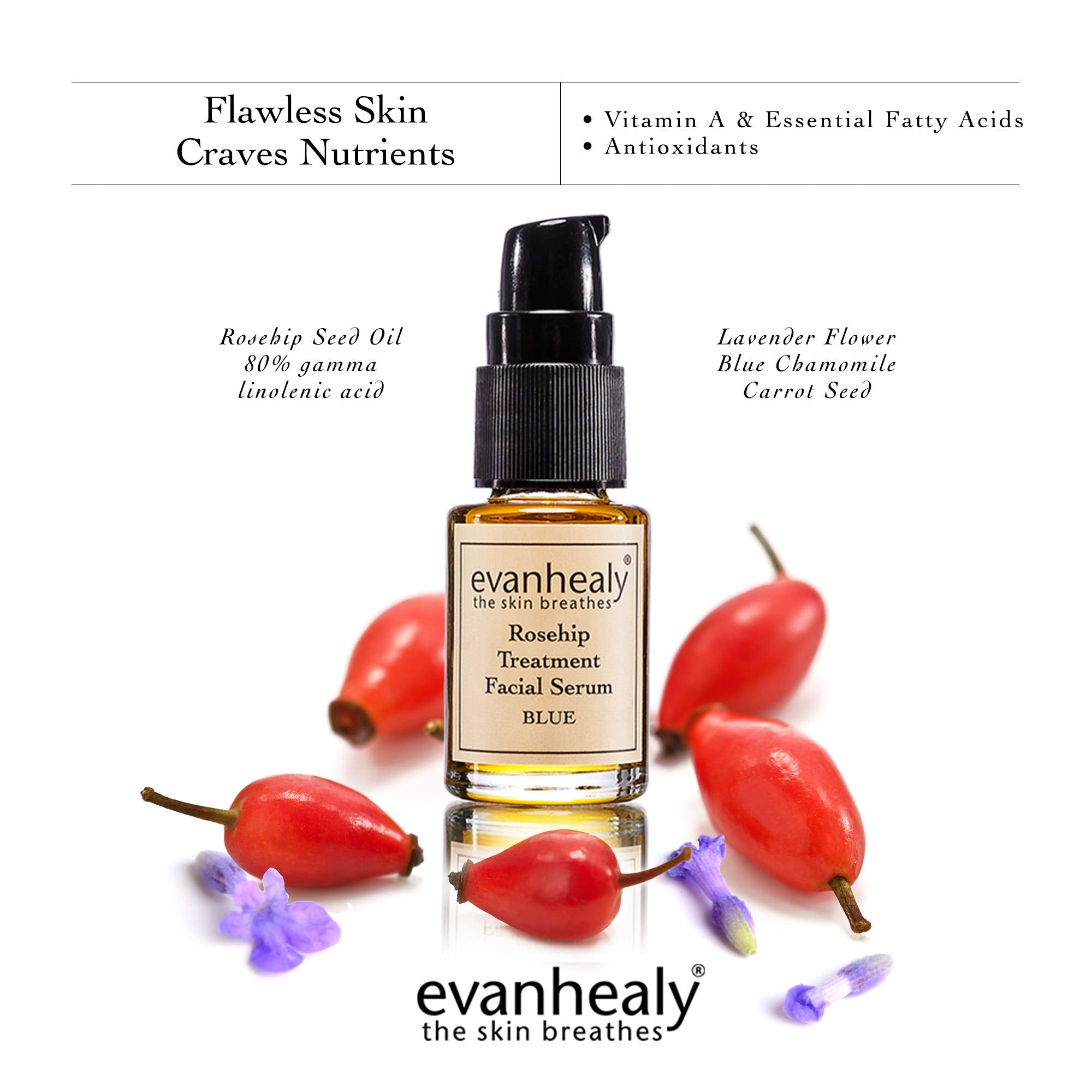 Evan Healy Rosehip Treatment Facial Serum - Blue 0.5oz oil