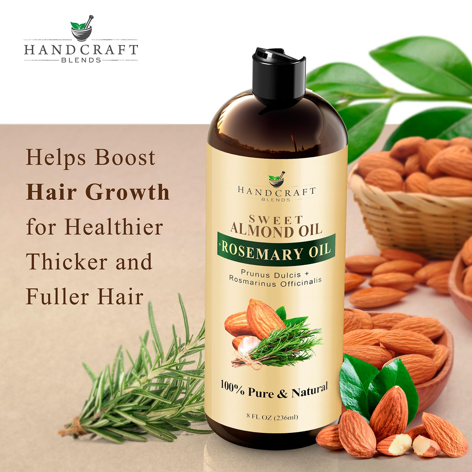 Handcraft Blends Sweet Almond Oil with Rosemary Oil - 8 Fl Oz - 100% Pure and Natural - Premium Grade Carrier Oil for Skin and Hair - Hair and Body - Massage