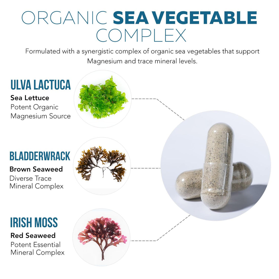 Organic Magnesium | Whole Food Magnesium - Plant-Based, Organic Sea Vegetable Complex - 250 mg Magnesium Per Serving | Water Extracted | Gentle on Stomach | Energy, Sleep, Muscle, Heart - 60 Capsules