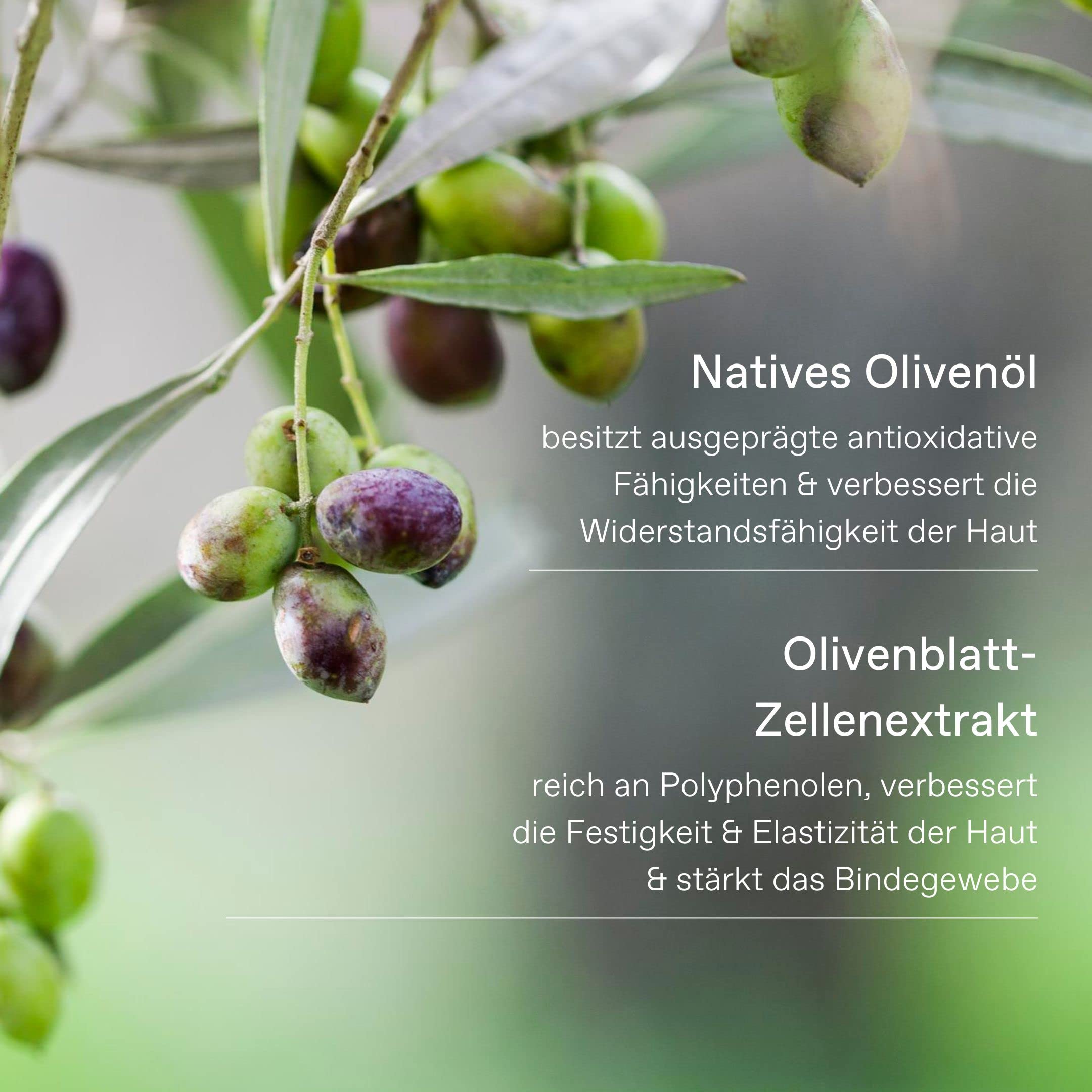 KORRES Olive Hand Cream, Olive Blossom, 2.53 fl. oz.