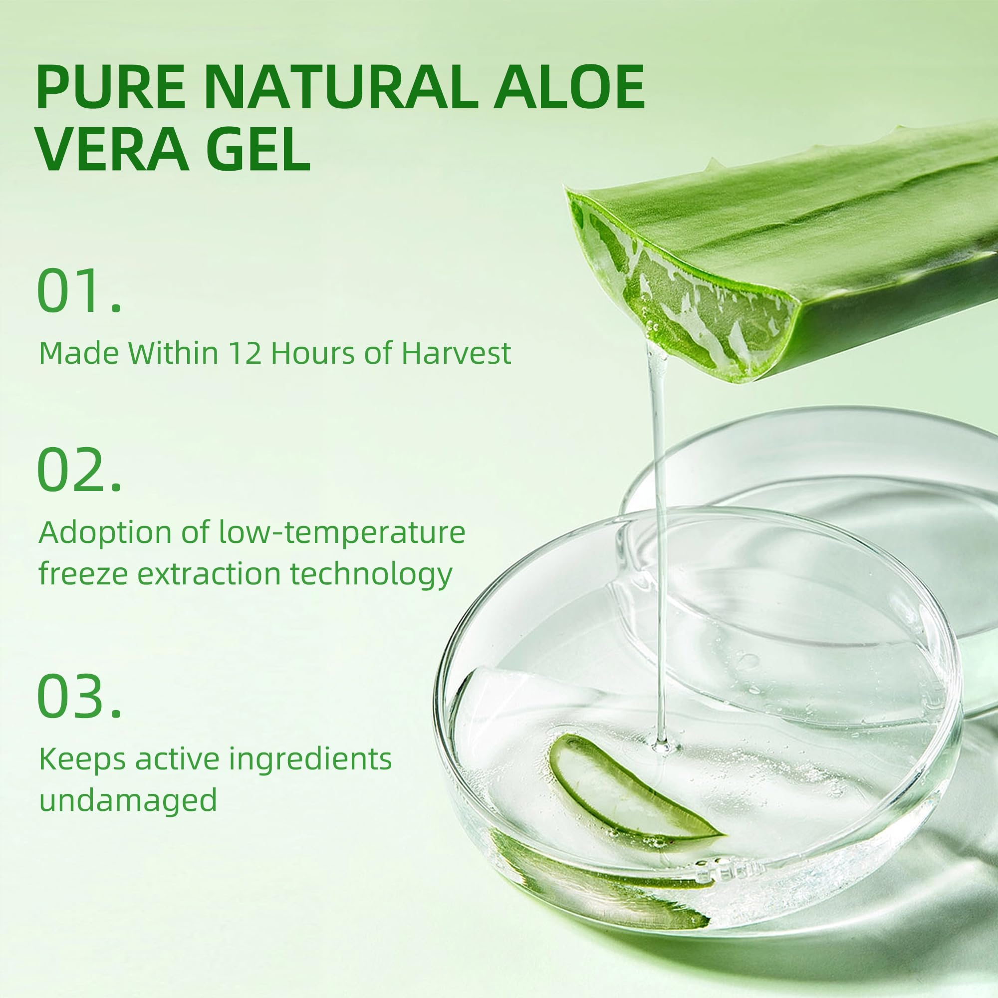 Berlaney Organic Aloe Vera Gel 17oz for Face and Body & Hair, 99.75% Organic and 100% Pure Aloe Vera Made within 12 Hours of Harvest, Aloe Vera For Deep Moisturizes and Sunburn Relief