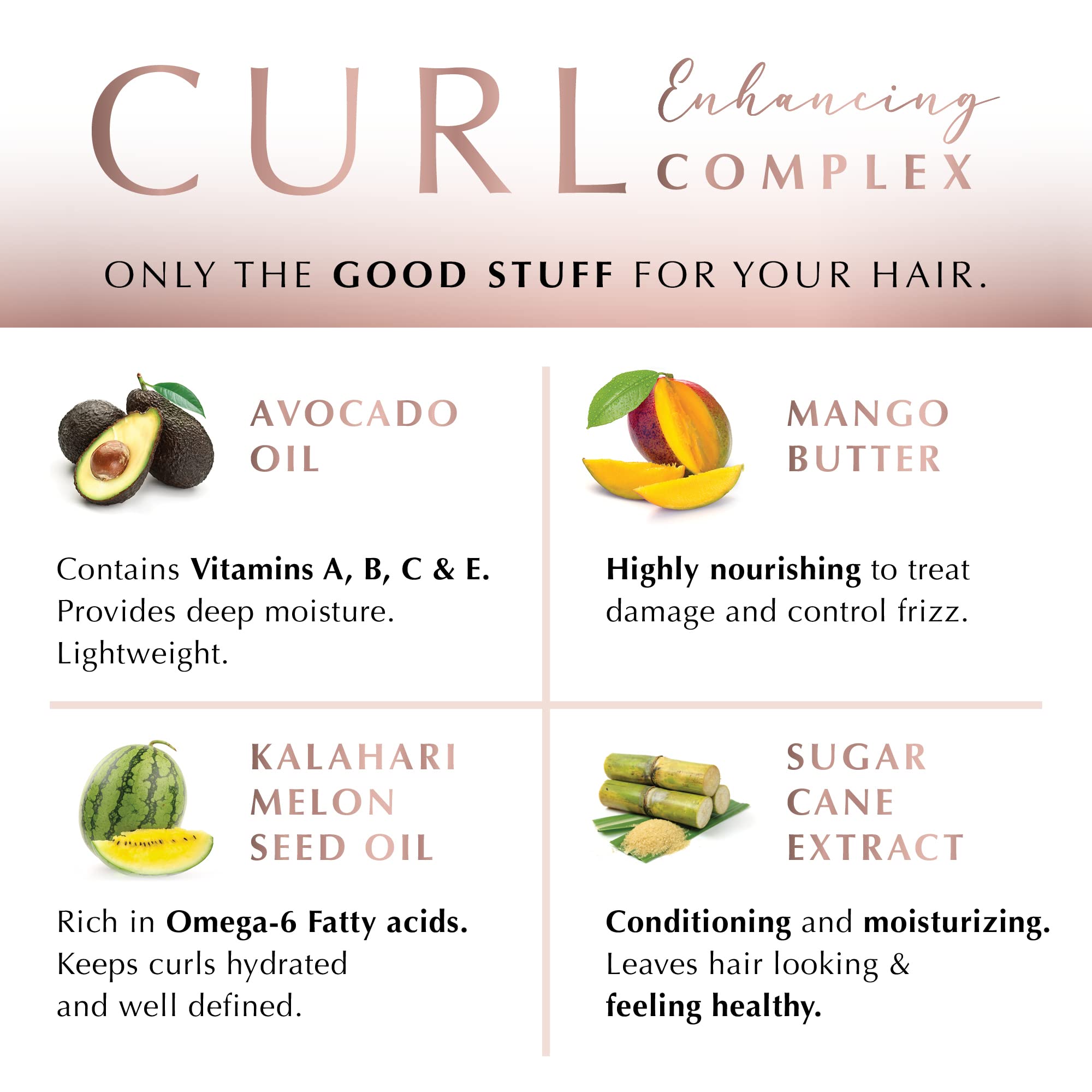 ECRU New York Curl Perfect Hydrating Shampoo, Curly Hair Shampoo for Women or Men, 24oz