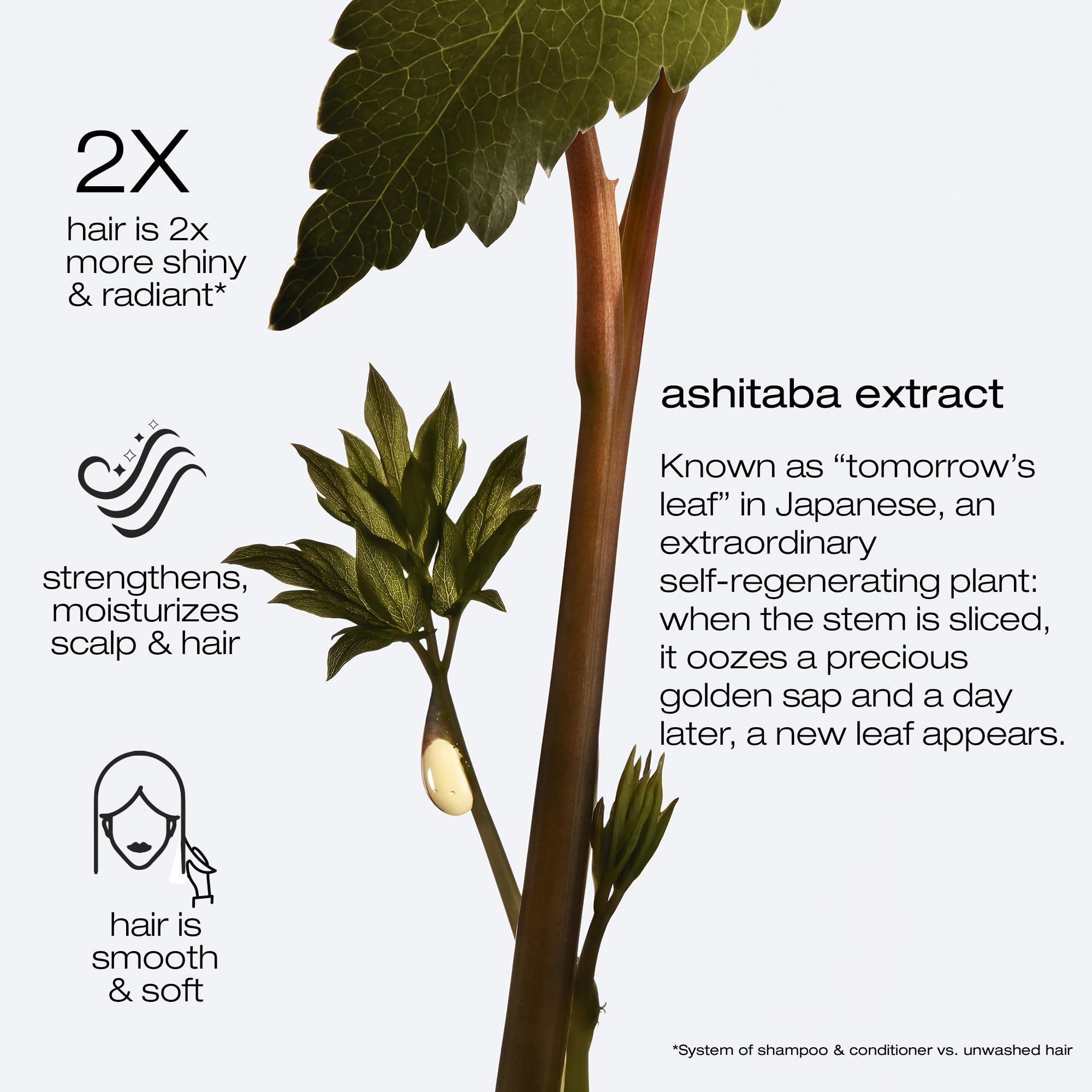 Shu Uemura Ashita Supreme Strengthening Mask For Damaged Hair - Deeply Nourishes and Hydrates, Enhances Shine and Smoothness, Strengthens Hair to Reduce Breakage