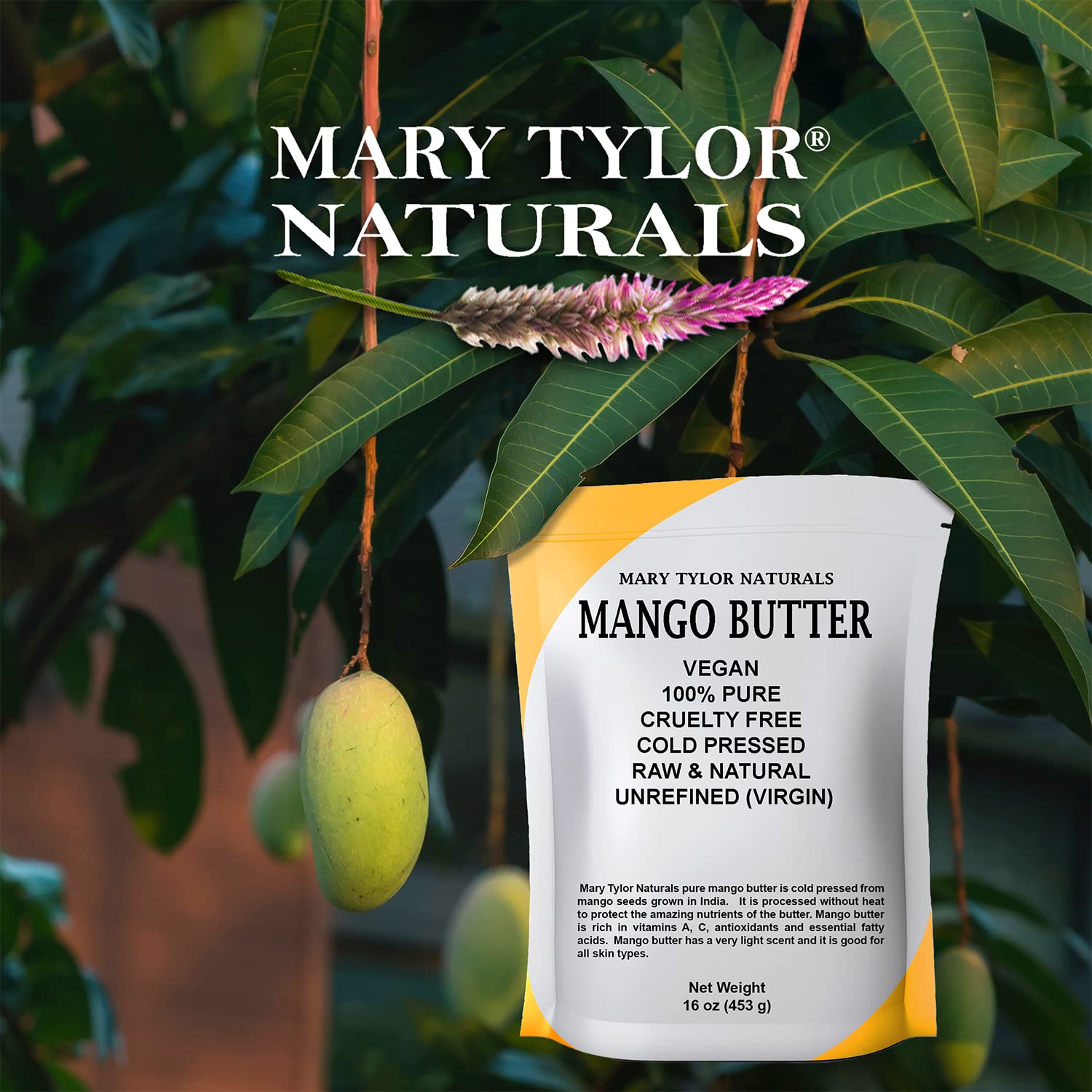 Mary Tylor Naturals Mango Butter 1 lb Cold Pressed, Unrefined,Raw Pure Mango Butter —