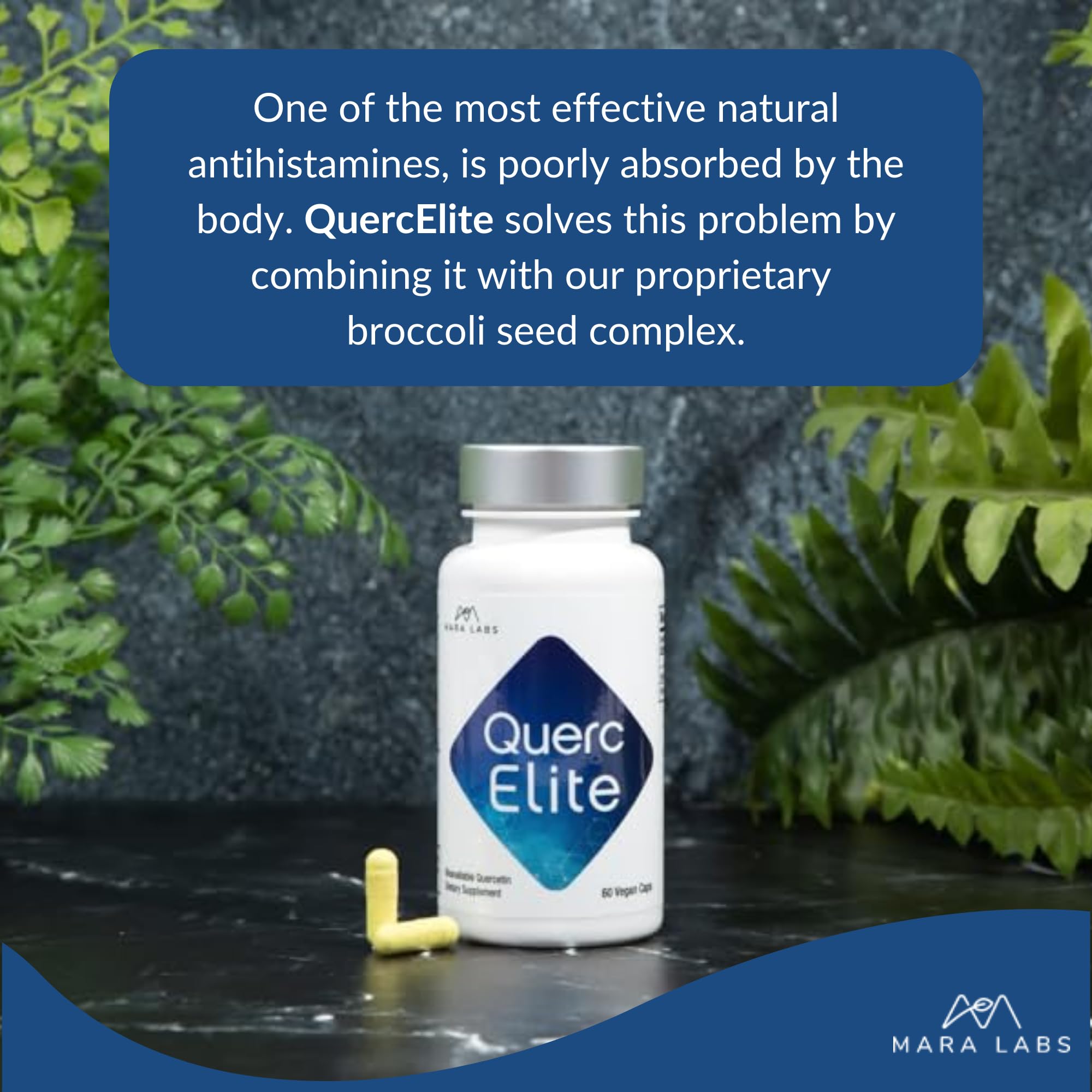 QuercElite Bioavailable Quercetin | 250 mg Quercetin and 250 mg Broccoli Seed Complex | 30 Servings
