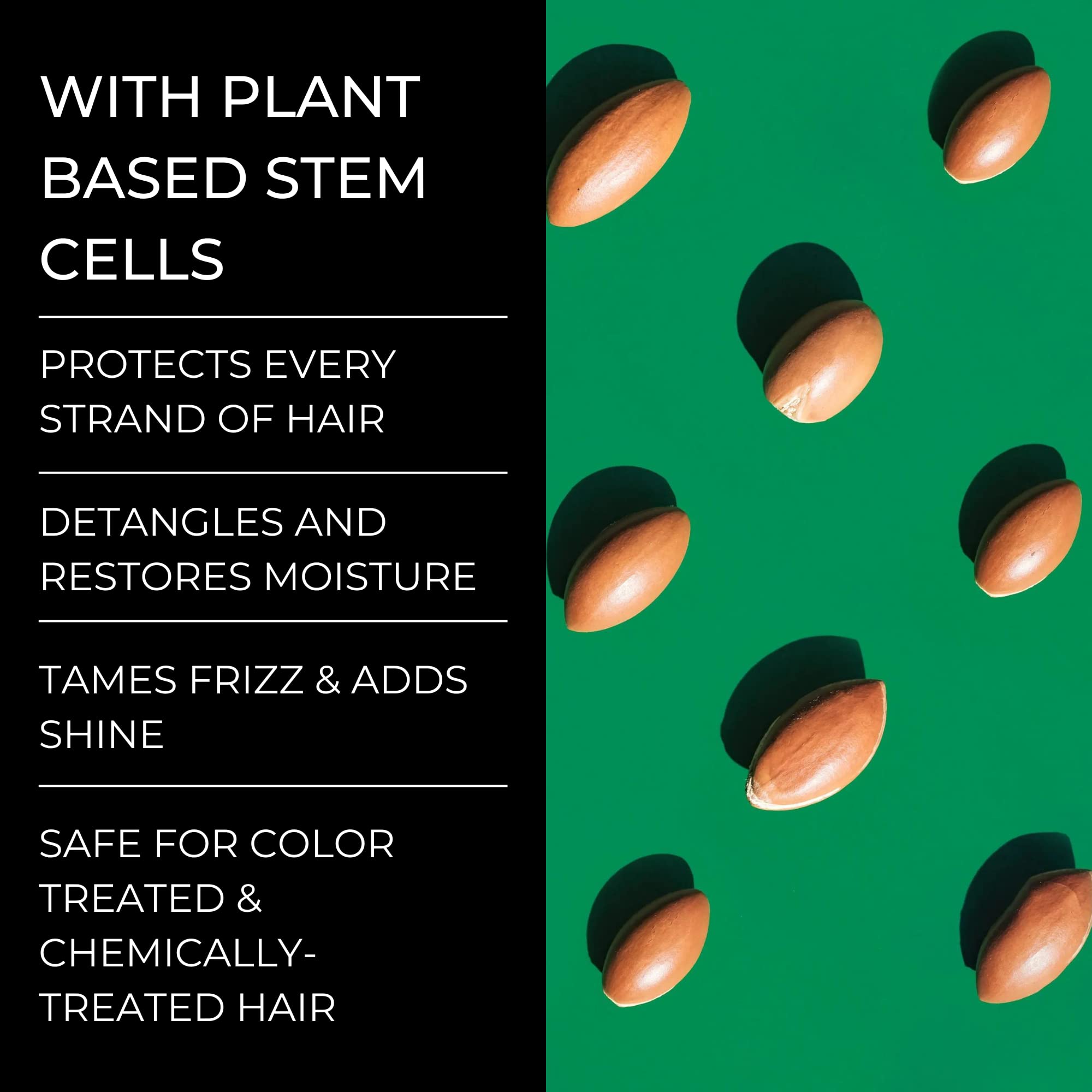 Alevai Stem+ Conditioner | Oily & Dry Scalp Treatment | Repairs, Strengthens, & Nourishes | Safe For Color & Chemically Treated Hair | Sulfate-Free | Paraben & Phthalate Free | Vegan