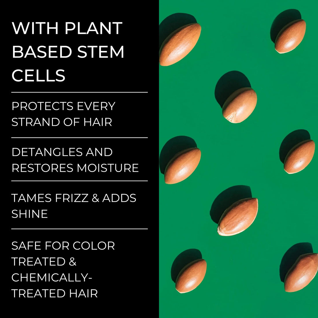 Alevai Stem+ Conditioner | Oily & Dry Scalp Treatment | Repairs, Strengthens, & Nourishes | Safe For Color & Chemically Treated Hair | Sulfate-Free | Paraben & Phthalate Free | Vegan