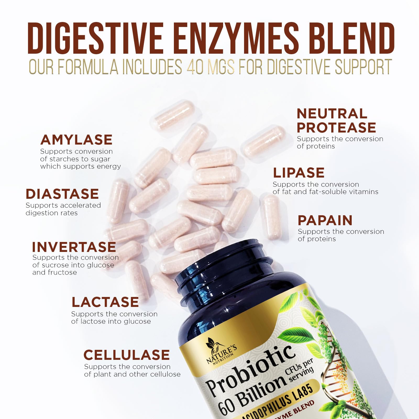 Probiotics 60 Billion CFU per Serving - 10 Strains + Prebiotics - Immune, Digestive & Gut Health Support, Supports Occasional Constipation, Gas & Bloating - Shelf Stable for Women & Men - 60 Capsules