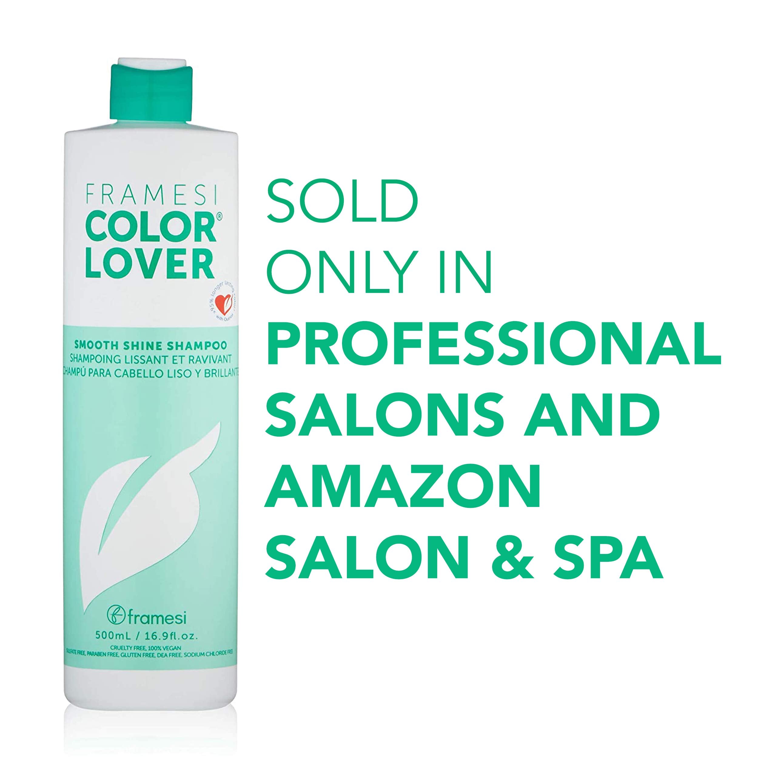 Framesi Color Lover Smooth Shine Shampoo, 16.9 Ounce
