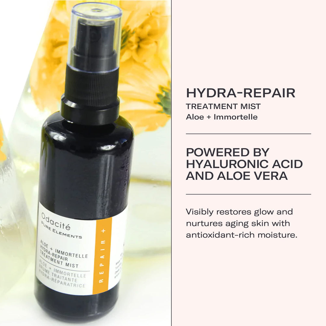 Aloe + Immortelle Hydra-Repair Treatment Mist