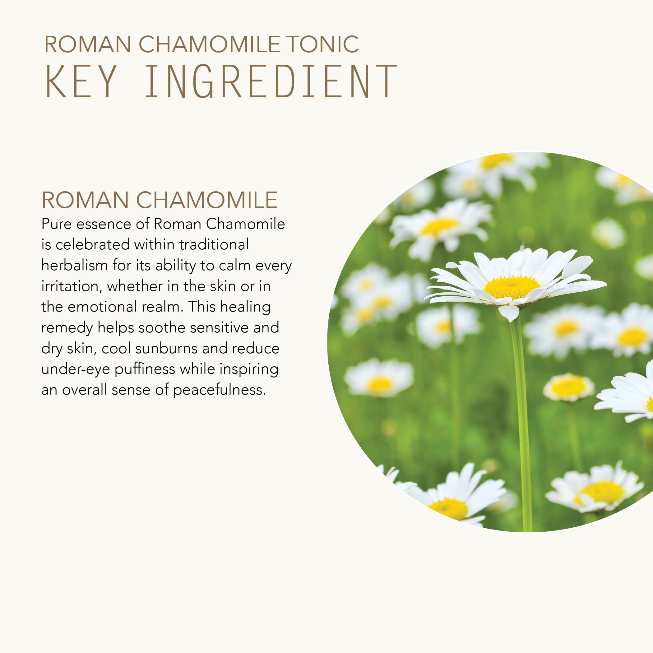 Tammy Fender Roman Chamomile Tonic