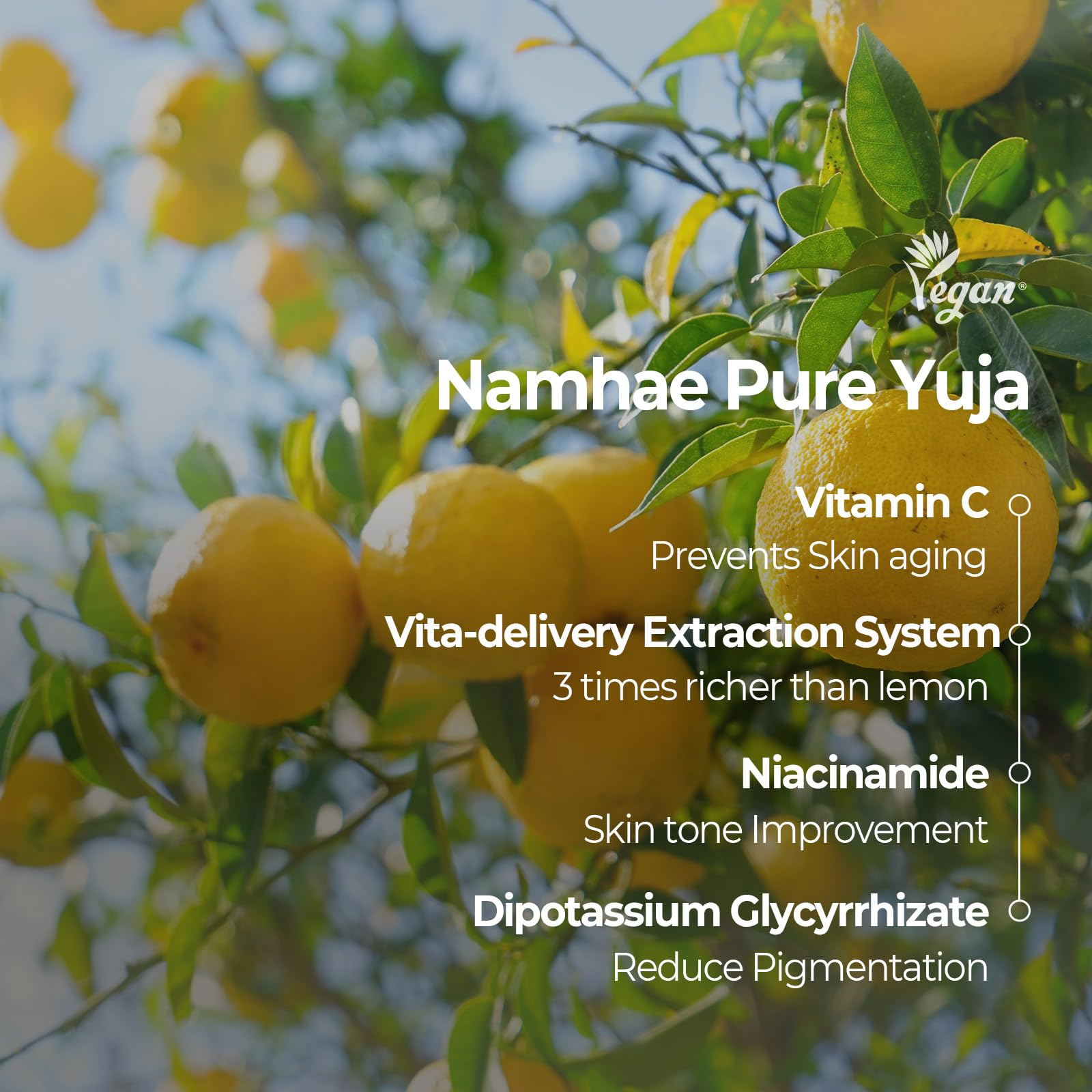 SKINFOOD Yuja C Vita Daily Sheet Mask, Korean 5-Minute Quick Skincare Hack, Triple Blemish & Dark Spot Care, Skin Tone Improvement Face Mask for Transparent and Clear Skin, Bulk Pack (30EA)