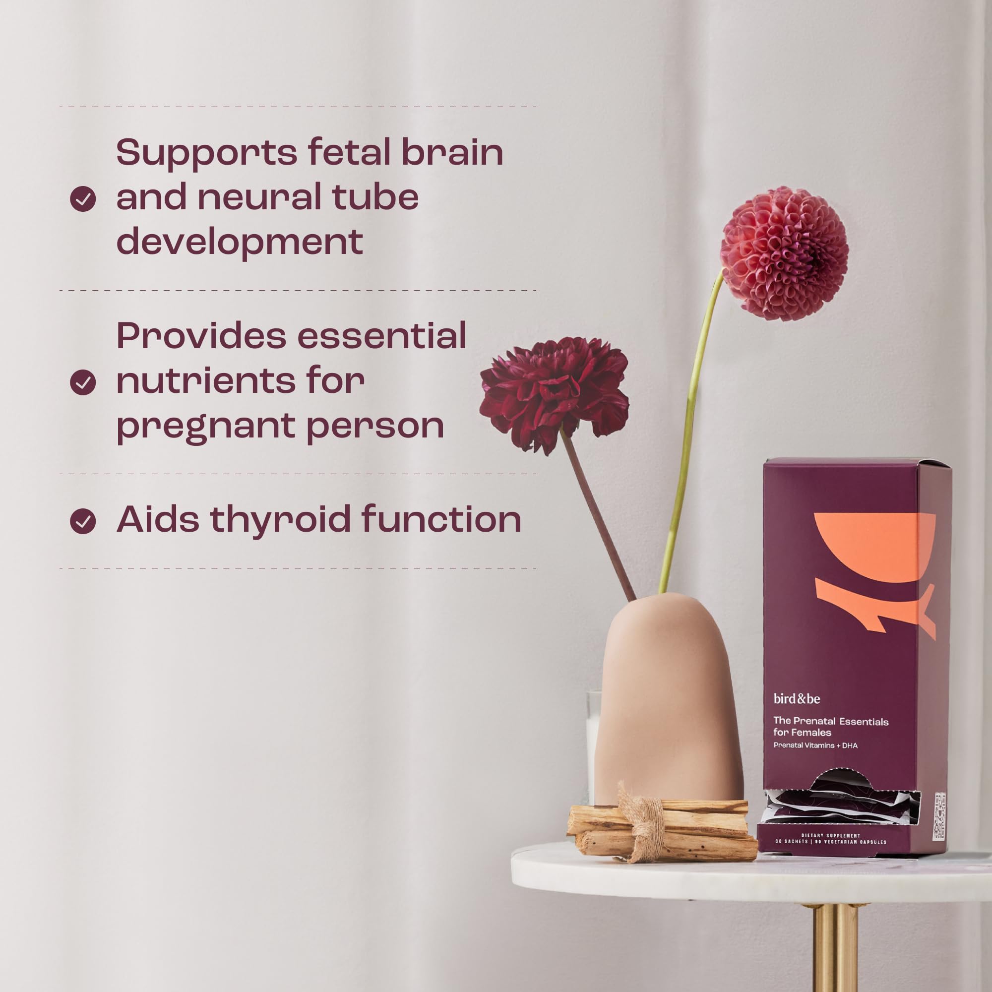 The Prenatal Essentials for Females - Vitamins to Support Pregnancy - Folic Acid, Methylated Folate, DHA (Omega-3), Choline and More - 30-Day Supply (HSA/FSA Eligible)