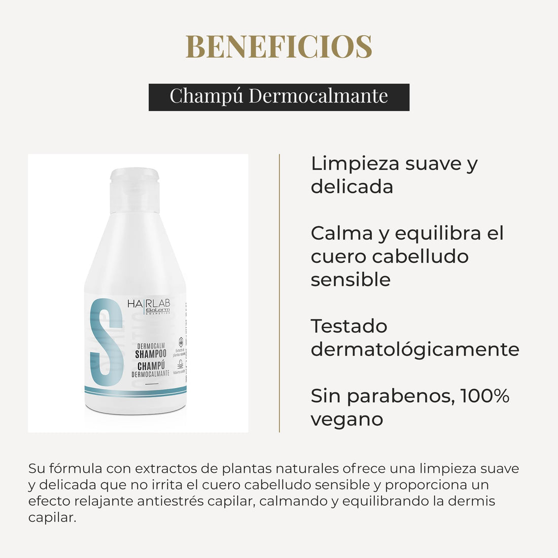 SALERM - Shampoo for Sensitive Scalp - Soothing Shampoo Hair Lab - 300 ml - with Witch Hazel, Rosemary, Mint, and Thyme - Gentle and Delicate Cleansing - Paraben-Free