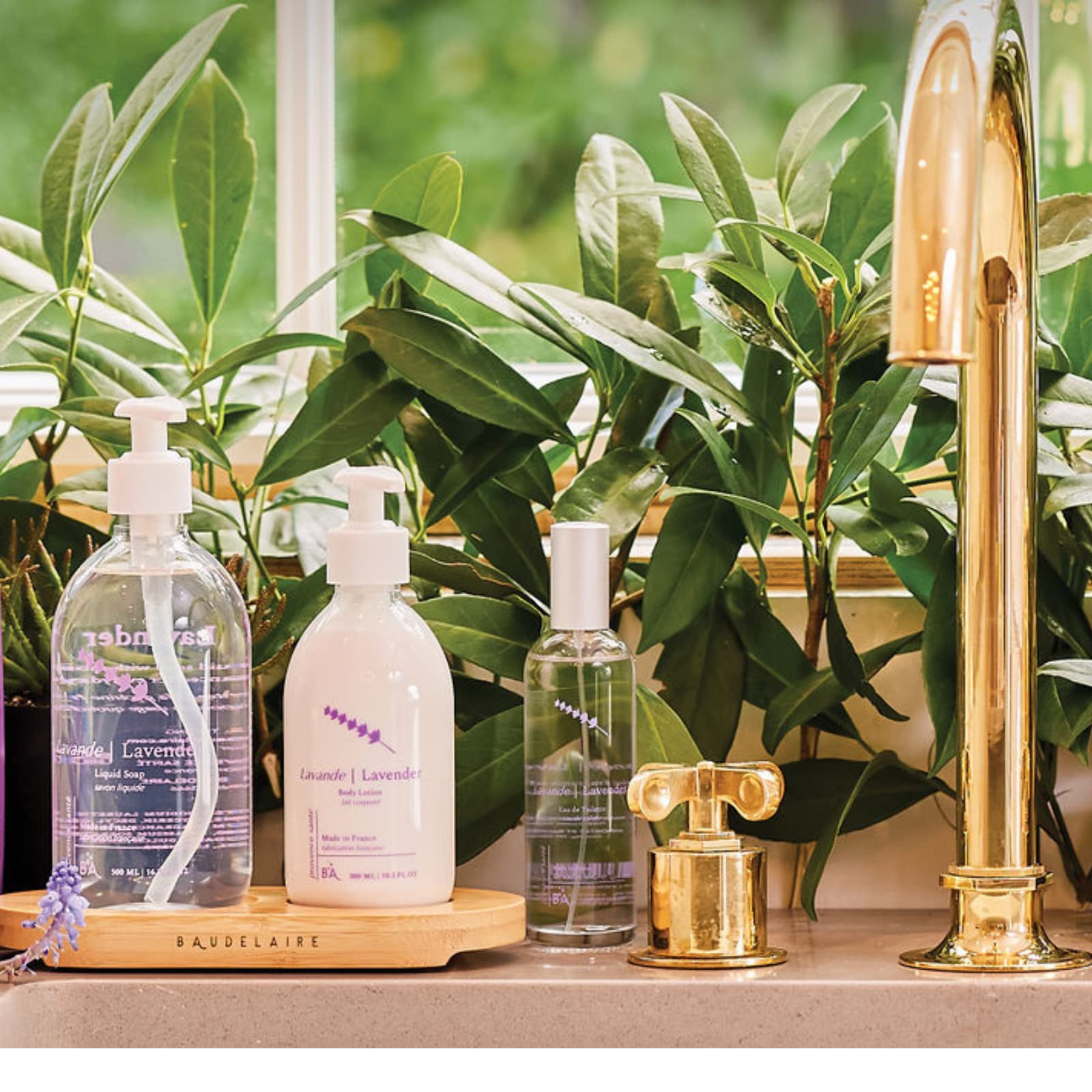 Provence Sante PS Shower Gel Lavender,10.2oz Bottle