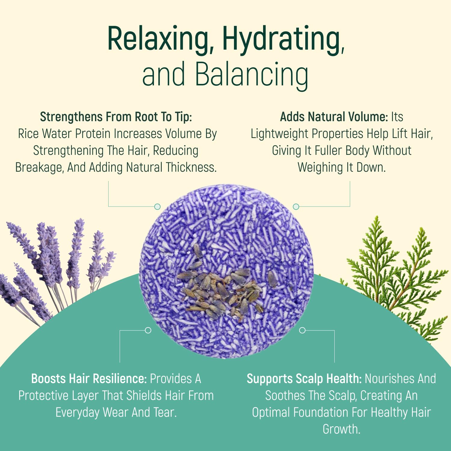 BAMBOEARTH Solid Shampoo Bar And Conditioner Effect Hair Soap – 100% Organic Shampoo Bars For Hair With All Natural Plant Based Essential Oils And Zero Waste Biodegradable Packaging (Lavender)