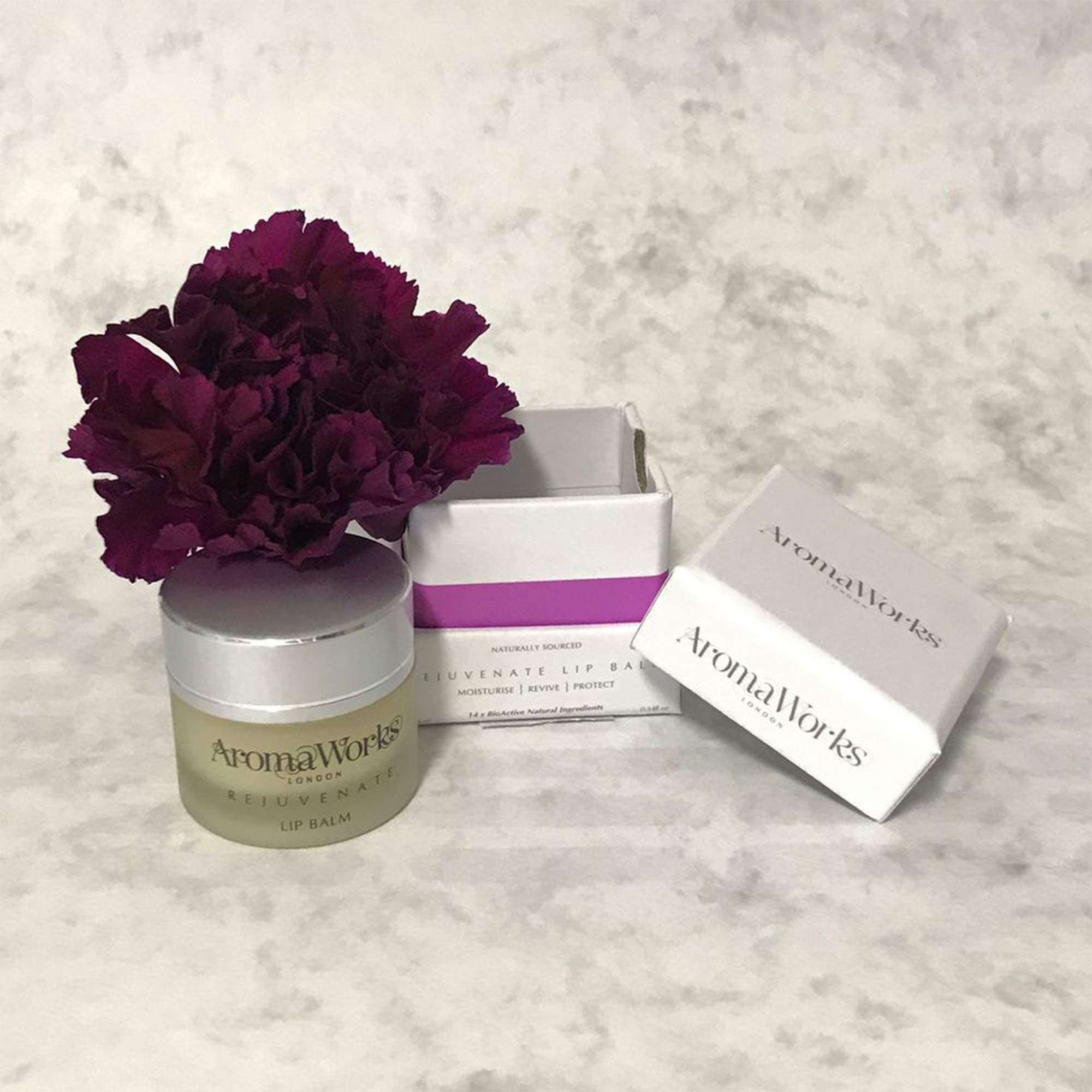 AromaWorks Rejuvenate Lip Balm - Moisturize, Revive & Protect Lips - Naturally Sourced Ingredients - Natural, Vegan, Cruelty Free - .34oz