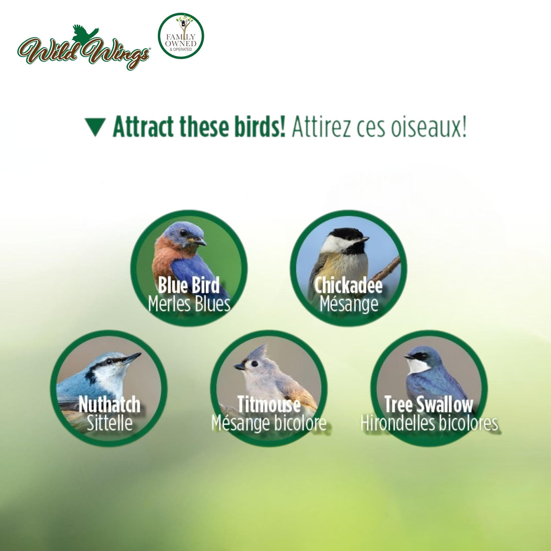 Wild Wings Decorative Bluebird House Verdant Petals, Green