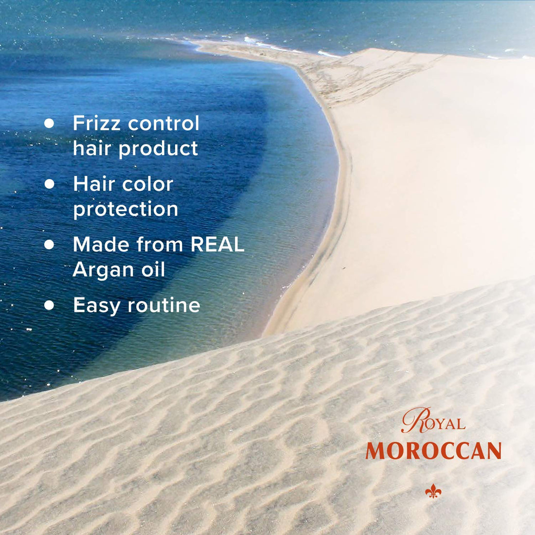 Moisturizing Shampoo | Dry Hair Shampoo for Color Treated & Frizzy Hair | Royal Moroccan Argan Oil Hair Products (500 ml 16.9 oz)