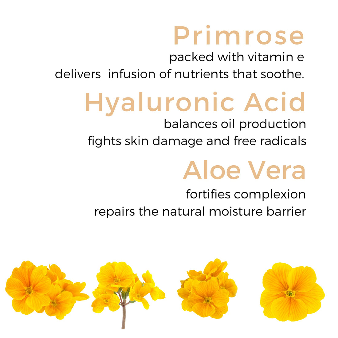 Georgette Klinger Primrose Eye Cream - All-In-One Anti-Aging Eye Treatment