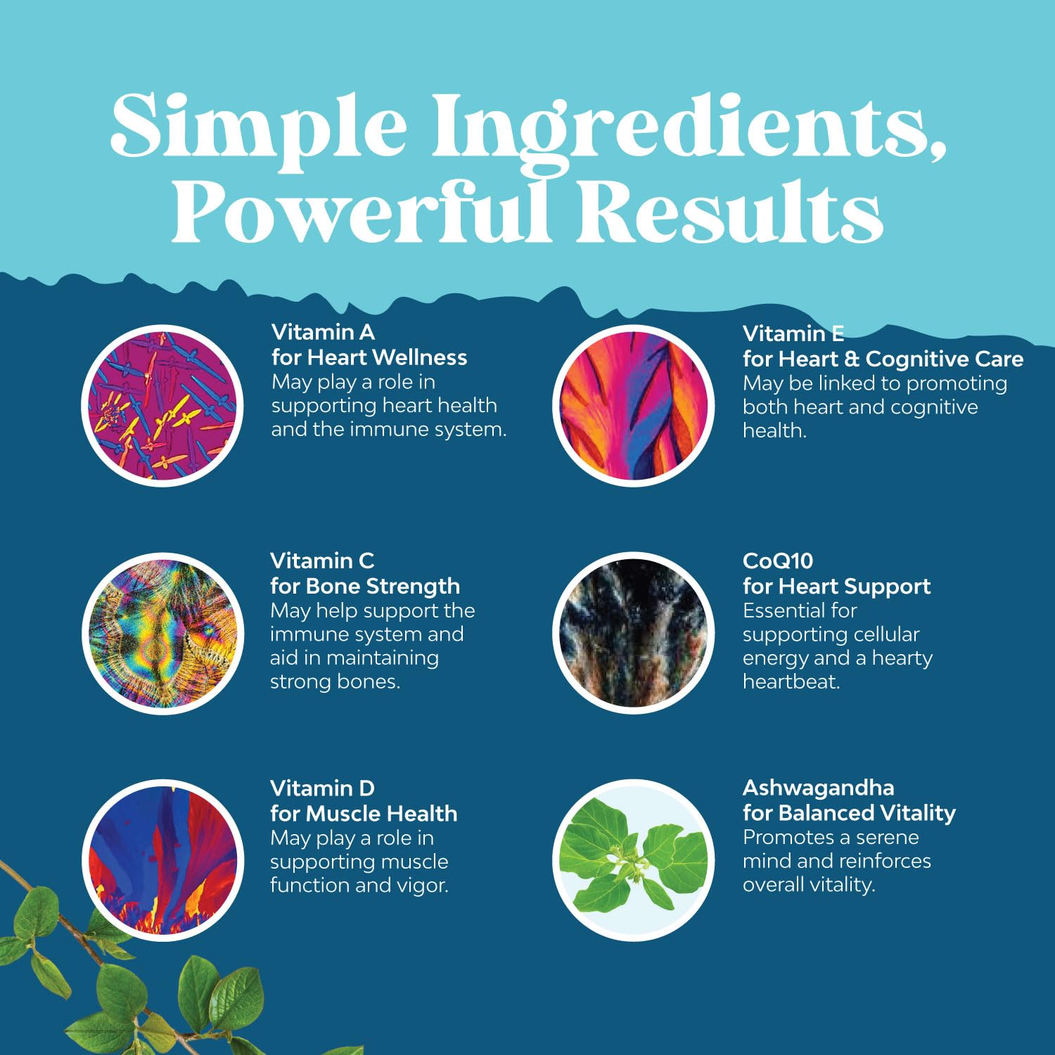 Natures Craft Men's Multivitamin Gummies with Superfood Complex - Daily Multivitamin for Men Gummies with CoQ10 and Ashwagandha for Energy and Immune Support - Adult Gummy Essential Minerals