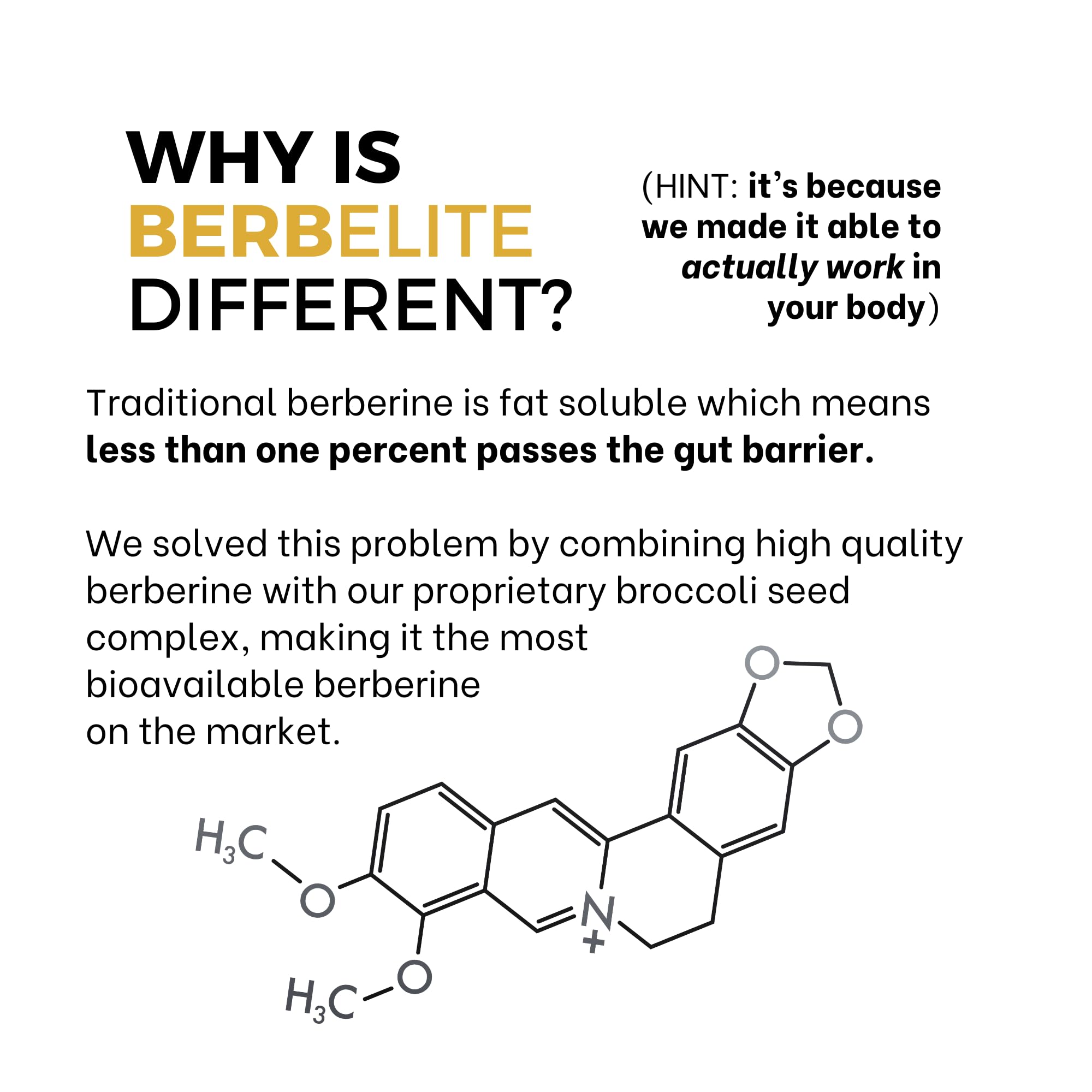 Mara Labs BerbElite | 350mg Berberine HCL & Broccoli Seed Complex for Increase Bioavailability | 30 Servings