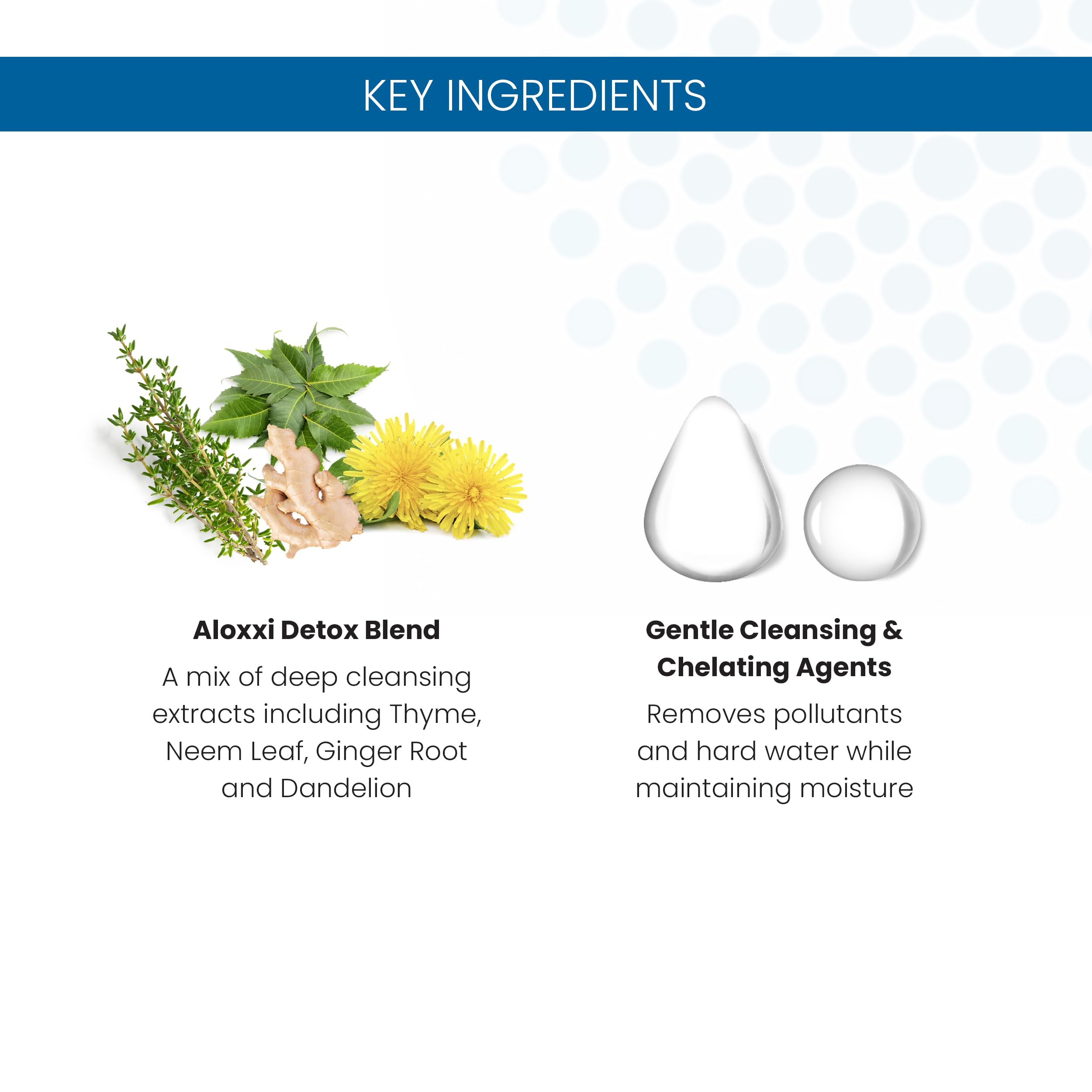 ALOXXI Clarifying Shampoo for Color Treated Hair - Removes Residue and Build-Up from Hard Water - Sulfate & Paraben Free Shampoo - Detox Shampoo for Deep Cleansing, 33.8 Fl Oz