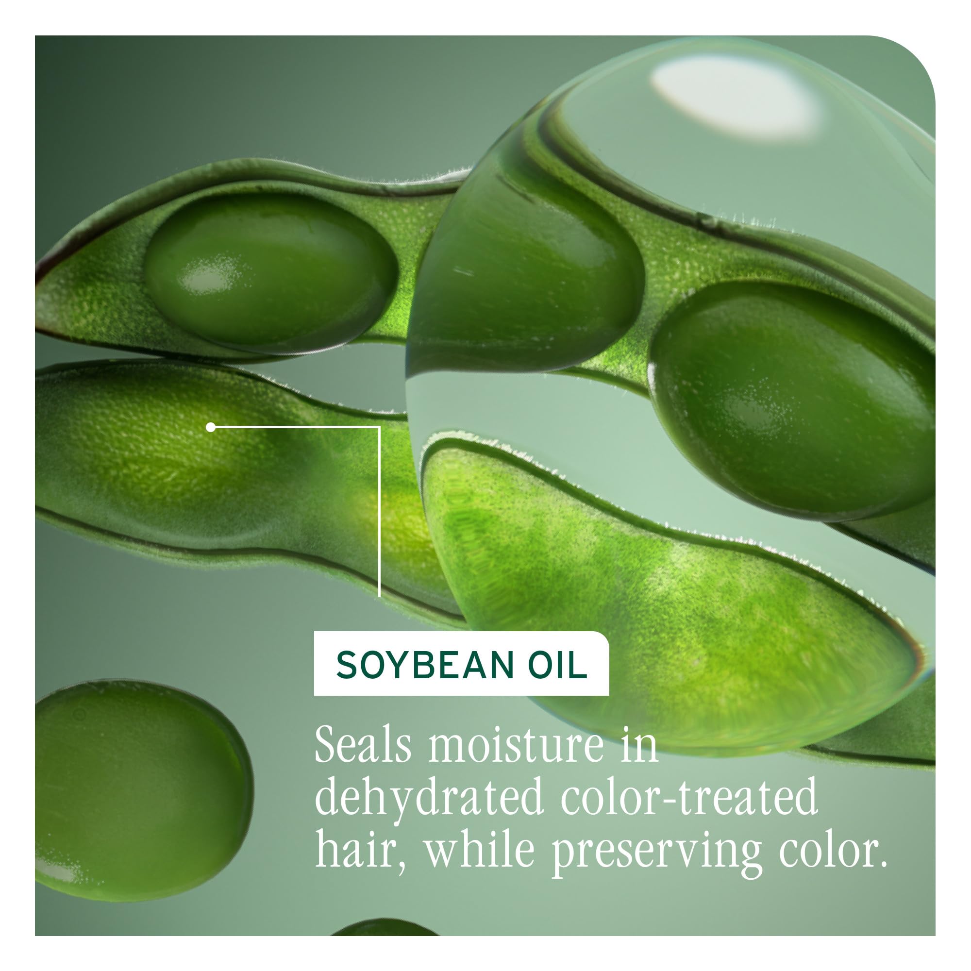 Biolage Color Last Shampoo - For Color-Treated Hair, Nourishes, Strengthens, Hydrates, With Soybean Oil & Stearic Acid, Paraben & Mineral Oil-Free, Vegan, 33.8 Fl Oz, Packaging May Vary