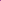Lavender, 1-3/4 Inch : Diane Magnetic Roller, Lavender, 1-3/4 Inch, 12 Count