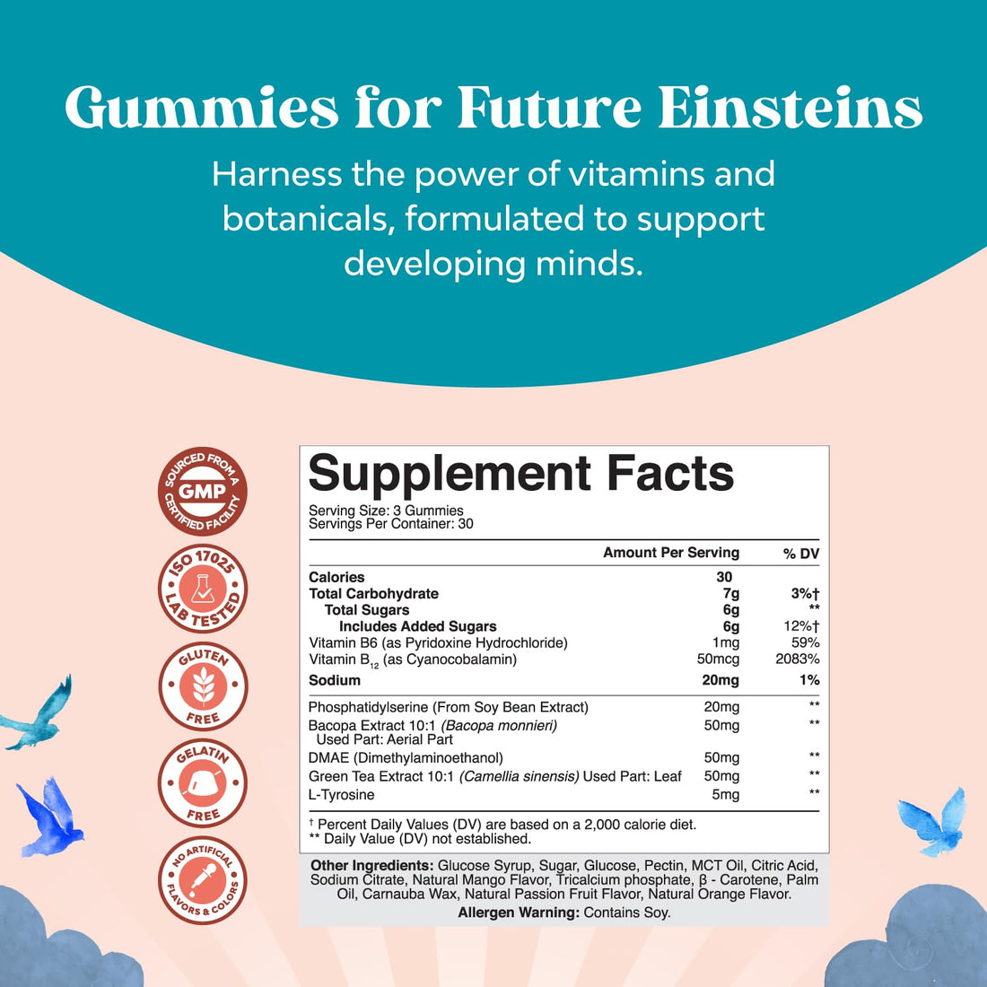Kids Focus Gummies - Nootropics Brain Support Supplement for Kids with Green Tea Extract, B6 & B12 Vitamins for Memory and Brain Focus - Herbal Concentration Chews for Children - 90 Count