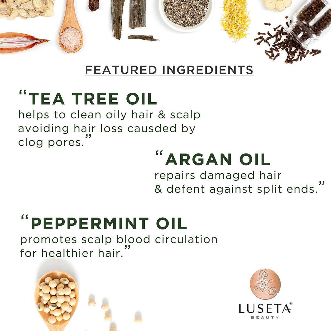 Luseta Tea Tree & Argan Oil Detangling Shampoo & Conditioner Set, 2 x 16.9 Oz : Tea Tree & Argan Oil, 16.9 Fl. Oz (Pack of 2)