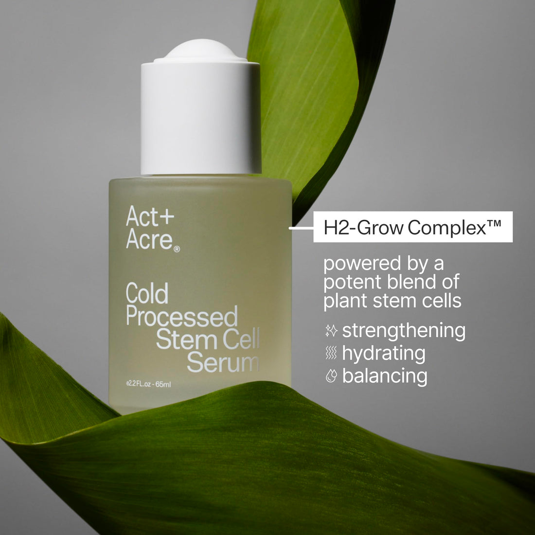 Act+Acre Cold Processed Stem Cell Scalp Serum - Promotes Thicker and Fuller-Looking Hair - Soothes and Hydrates the Scalp - Sulphate and Paraben Free - Aloe Vera for Improved Scalp Health.