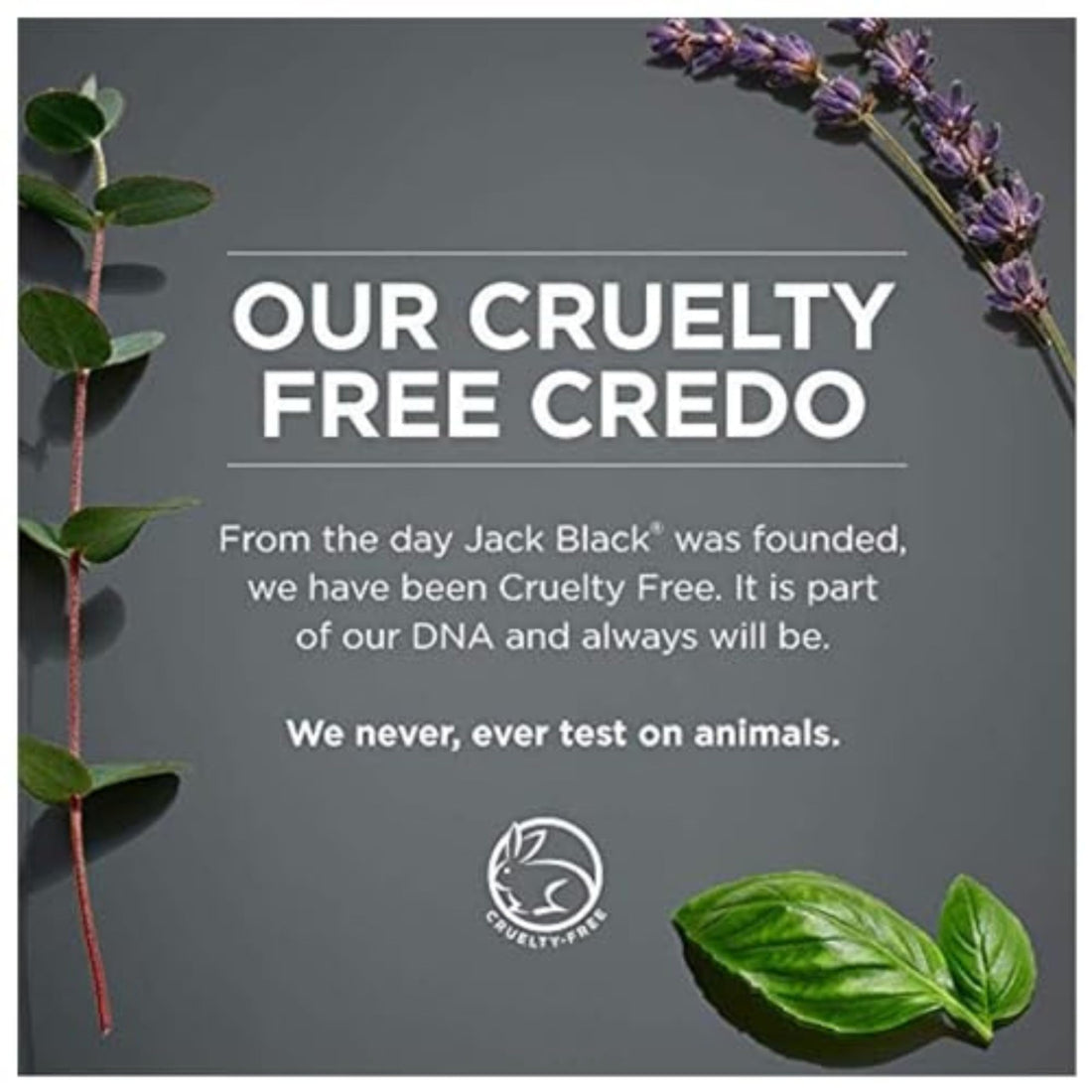 Jack Black Supreme Cream Triple Cushion Shave Lather