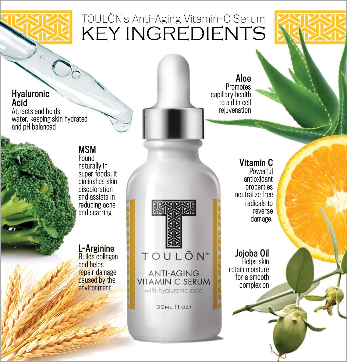 Vitamin C Serum with Hyaluronic Acid for Face; Reduce Wrinkles & Sun Spots; Natural and Organic: Free Gift/No Risk