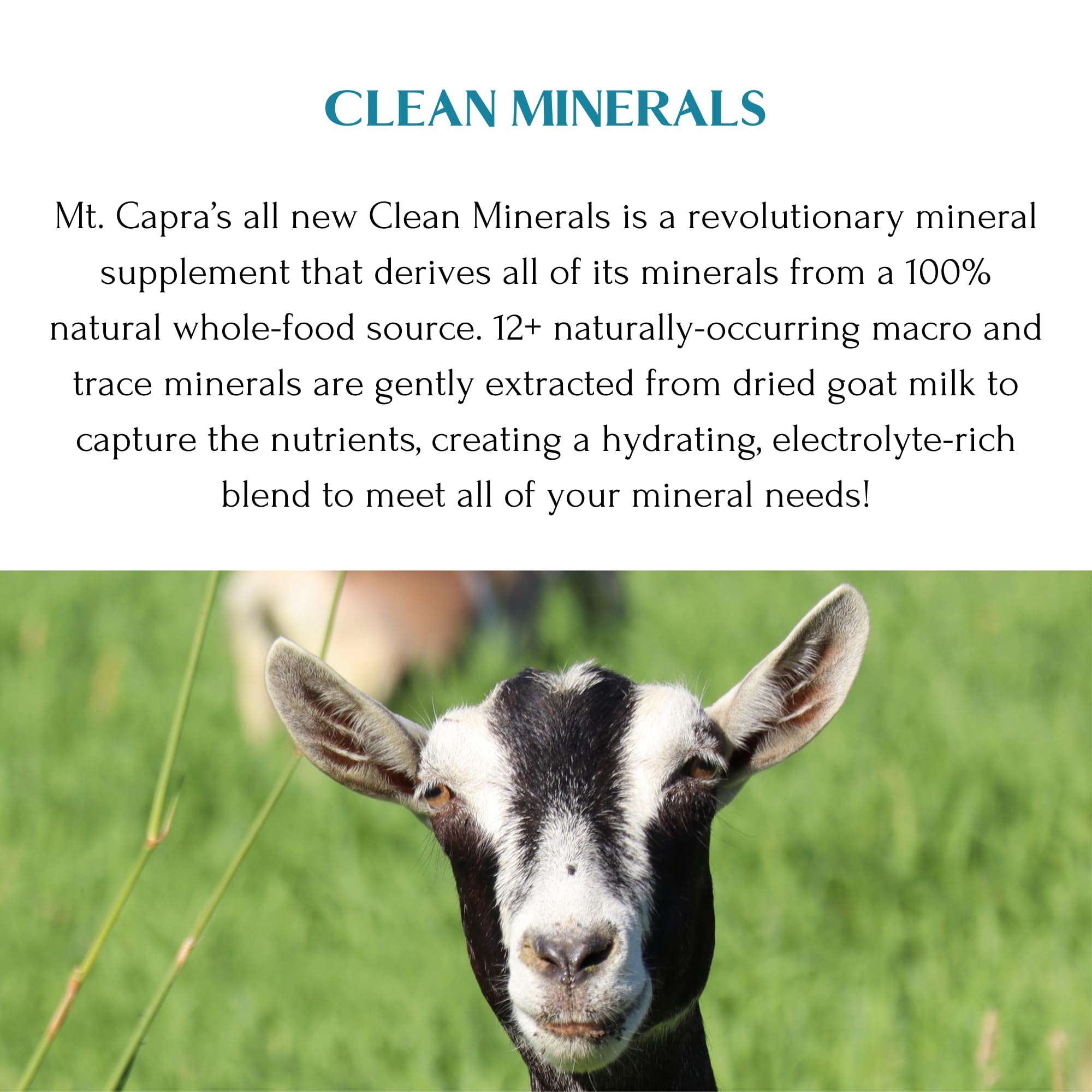 Mt. Capra Clean Minerals | Regenerative Minerals Extracted from Grass-Fed Goat Whey, Over 1000 mg Potassium, 240 mg Calcium, Multimineral, Bioavailable, Easy to Digest | 30 Servings - 23.8 oz