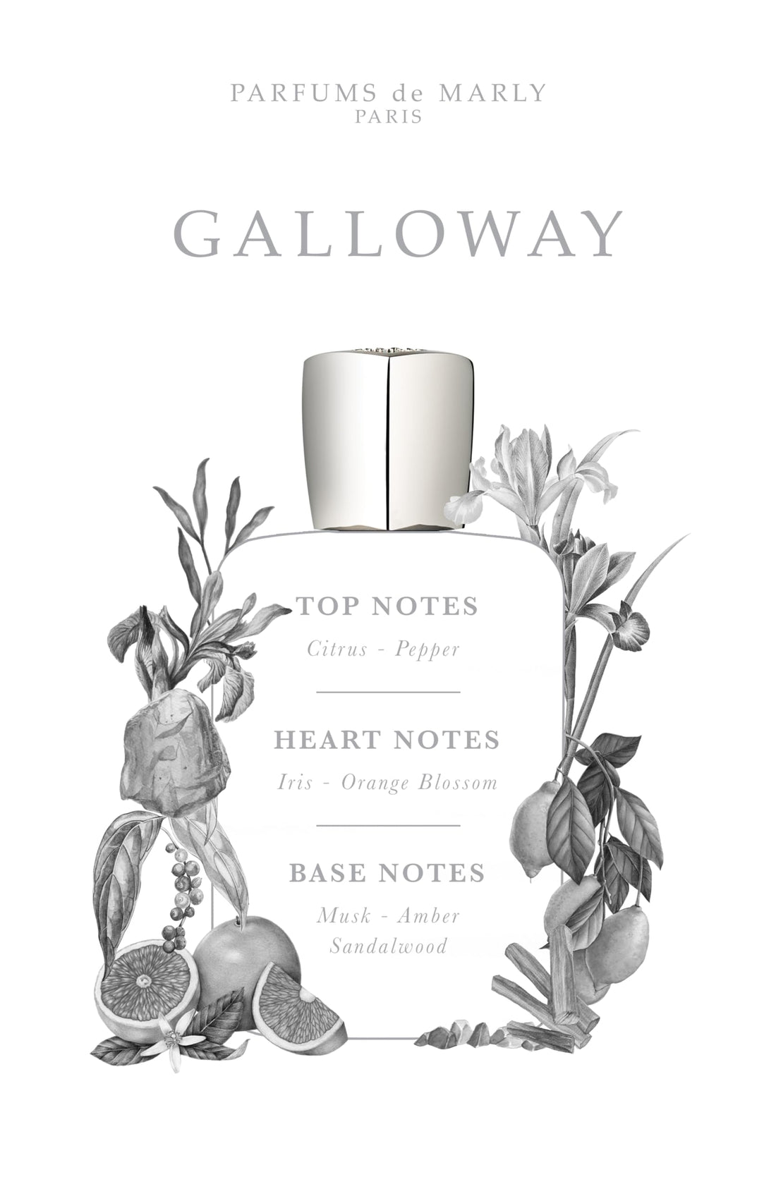 Parfum de Marly Galloway 125ml Eau De Parfum Vaporisateur Spray 125ml