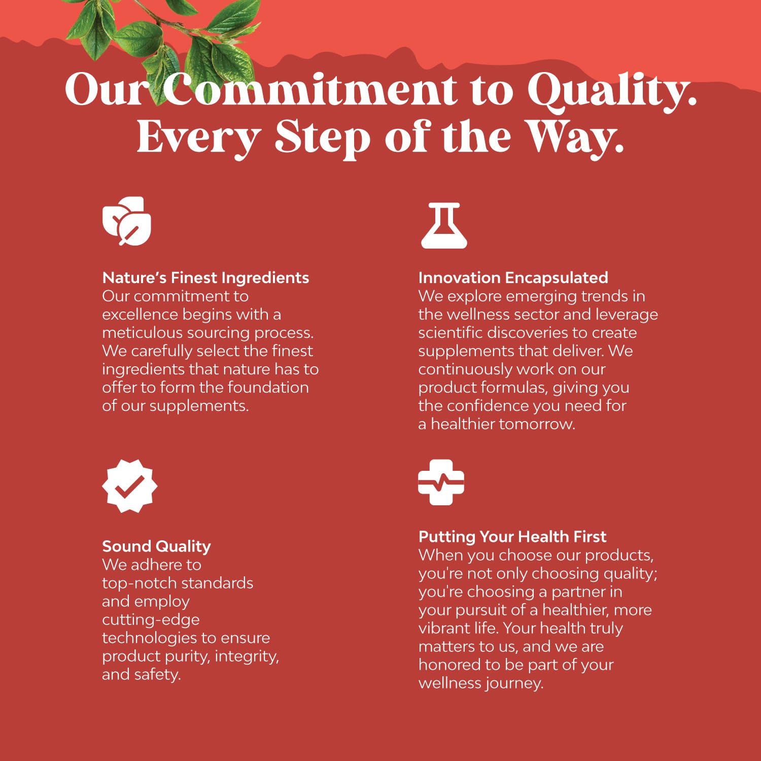 Natures Craft Vitamin D3 Gummies for Daily Wellness - Delicious D Adults with 2000IU per Serving Bone Muscle & Immune Support Non-GMO Gelatin Gluten Free (30 Day Supply)