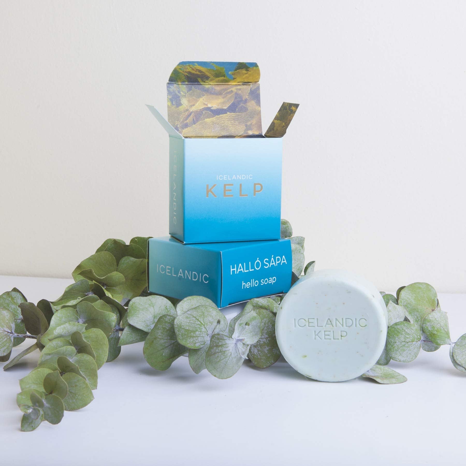 Organic Exfoliating Bars of Soap, Natural Ingredients, Assorted Scents, Icelandic Kelp & Moss, Set of.