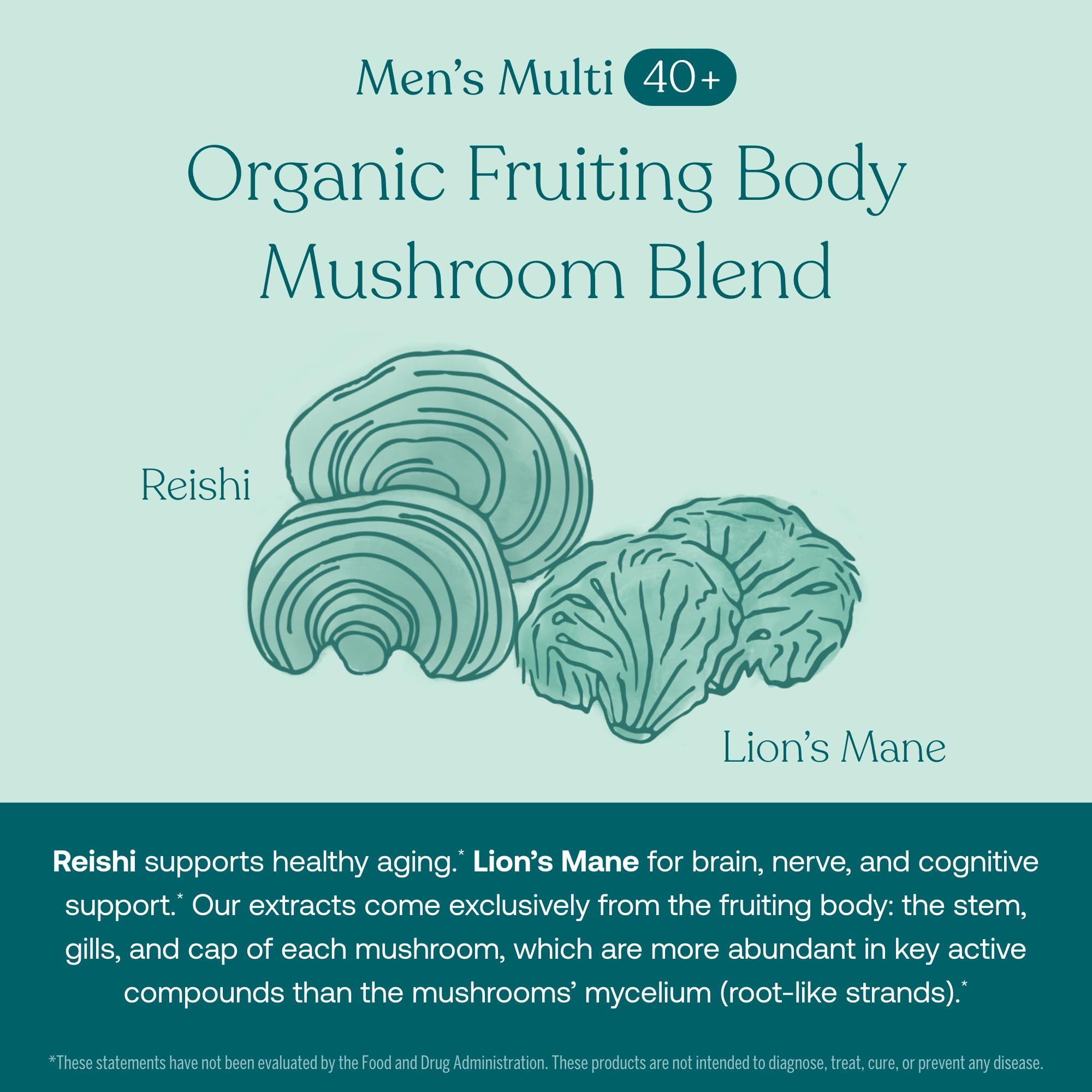 True Grace One Daily Men's Multivitamin 40+ (30 Vegan Tablets) + One Daily Women’s Multivitamin 40+ (30 Vegan Tablets) - Non-GMO - 30-Day Supply of Each