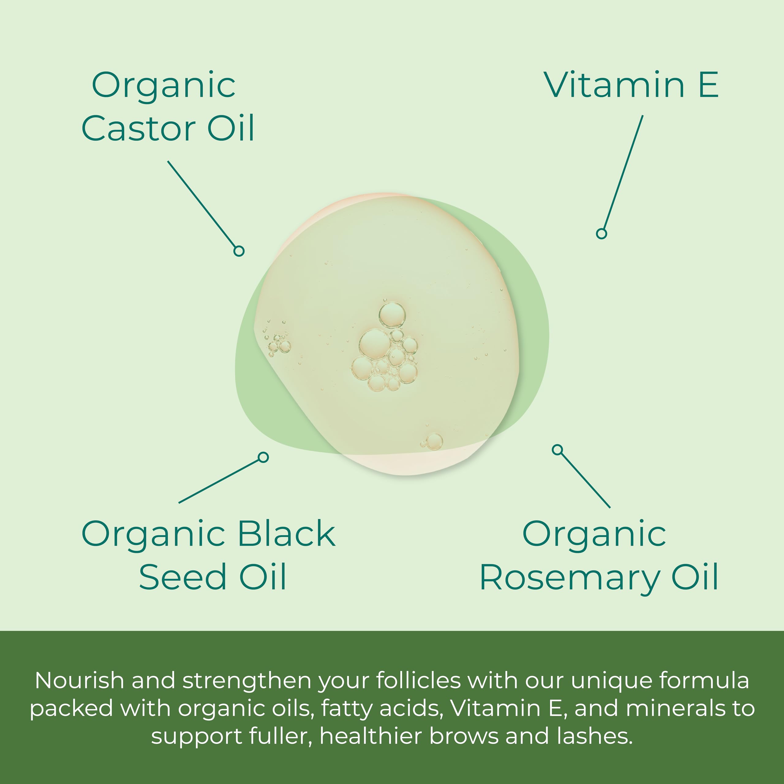 Sea el Castor Lash & Brow, 1 oz (30 ml)