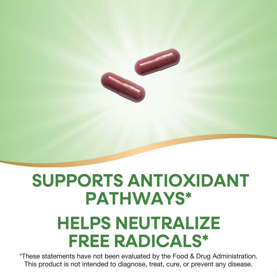 Nature's Way Cherry Fruit, Sweet Cherry Extract, Supports Antioxidant Pathways*, 1,000 mg Per Serving, 180 Capsules