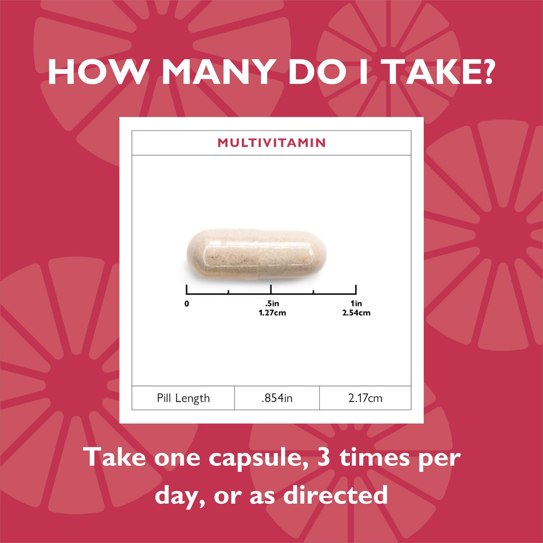 Celebrate Vitamins Bariatric Multivitamin, Iron Free - Post Gastric Bypass & Sleeve Gastrectomy Supplement for Men & Women - Essential Minerals & Vitamins A, B, D & E (270 Capsules)