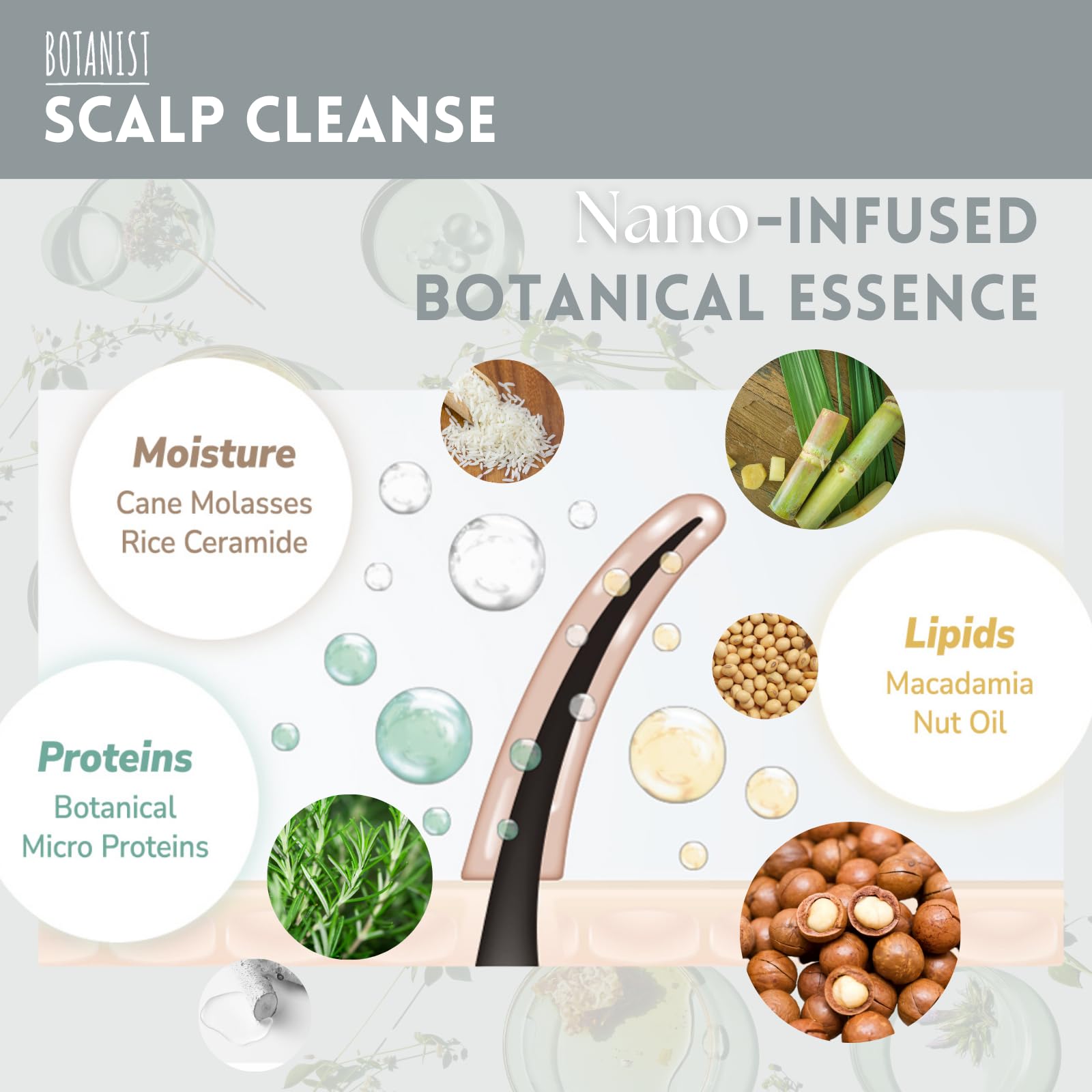 BOTANIST Organic Shampoo for Dry & Itchy Scalp Hair Women & Men, Clarifying Shampoo with Rosemary Extracts & Birch Water from Japan, Sulfate & Silicone Free, LIME& GREEN LEAF, 15.5 Fl Oz