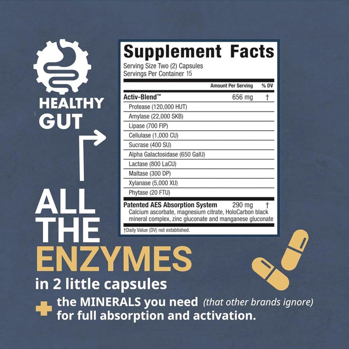 Healthy Gut HoloZyme | Digestive Enzymes | Enjoy Your Favorite Foods Again w/Protease, Amylase, Lipase, Lactase, and More | 15 Servings (Sample Bottle)