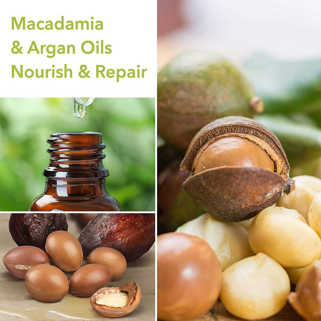 Macadamia Natural Oil REJUVENATING SHAMPOO 10 OZ