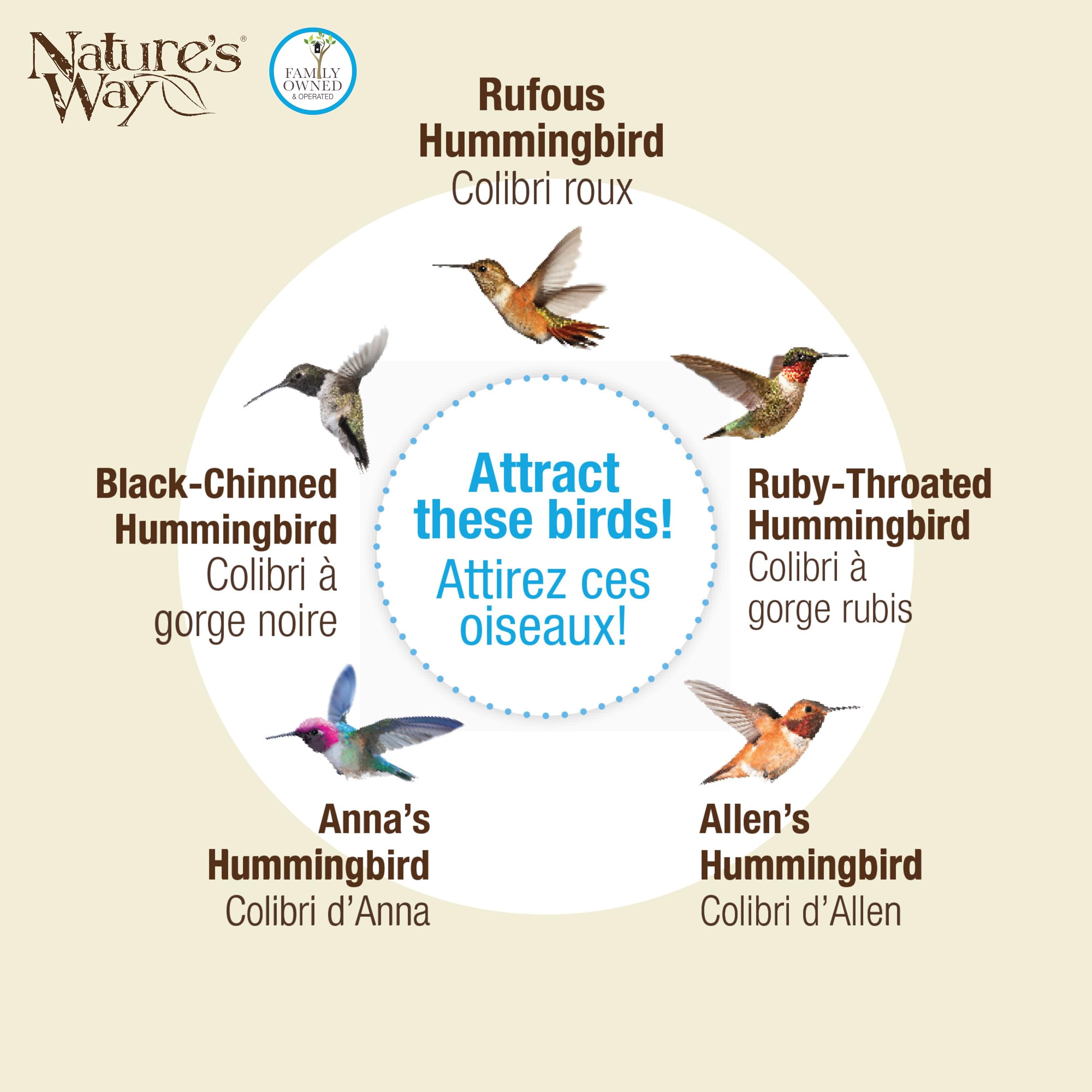 Nature's Way Bird Products ANTHF1 Antique Top-Fill Hummingbird Feeder