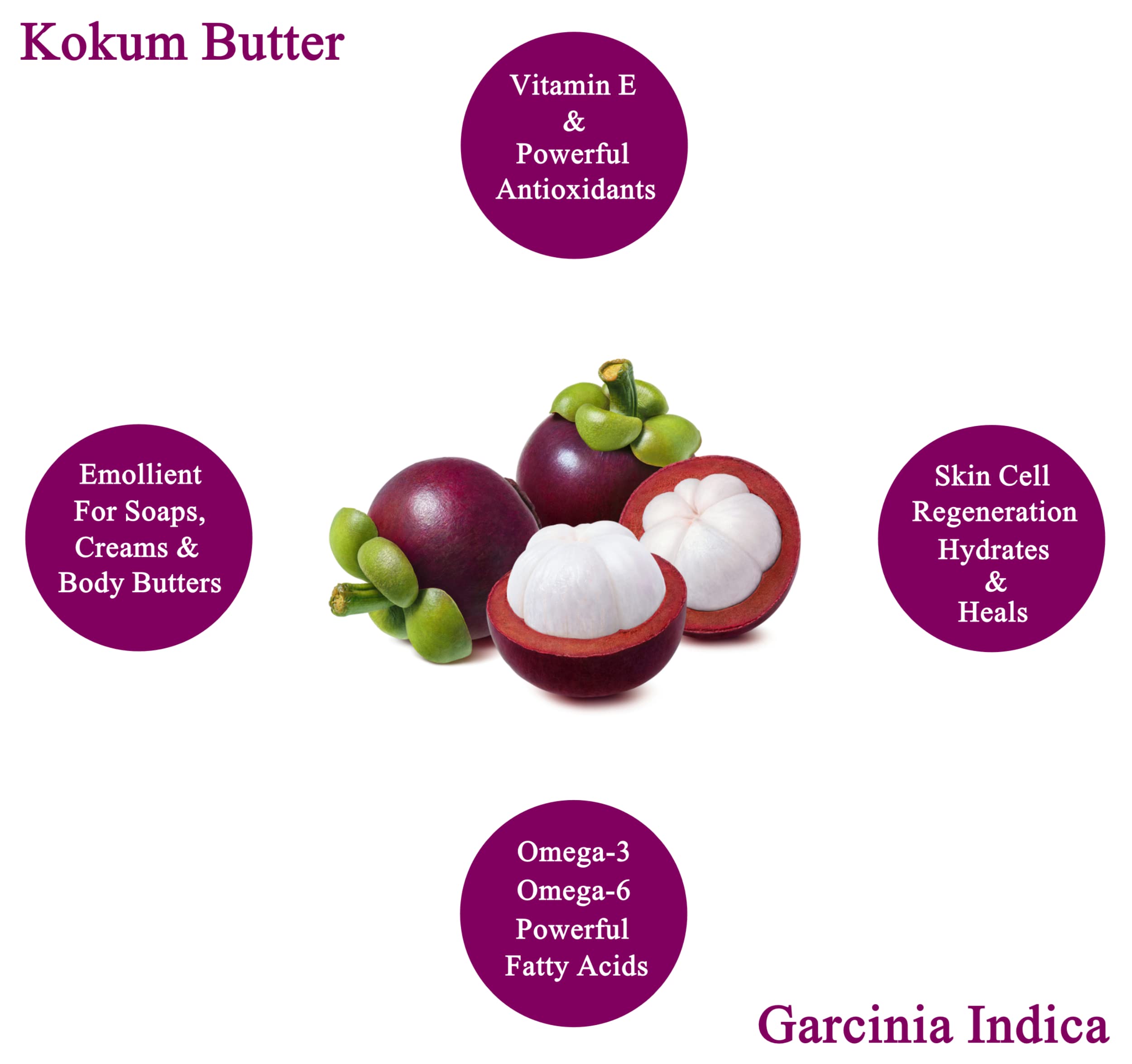 Raw Kokum Butter 16 oz. / 1 lb. 100% Pure Natural - Great for Skin, Body and Hair Moisturizer, DIY Creams, Balms, Lotions and Soap Making. (HDPE Food Grade Jar)
