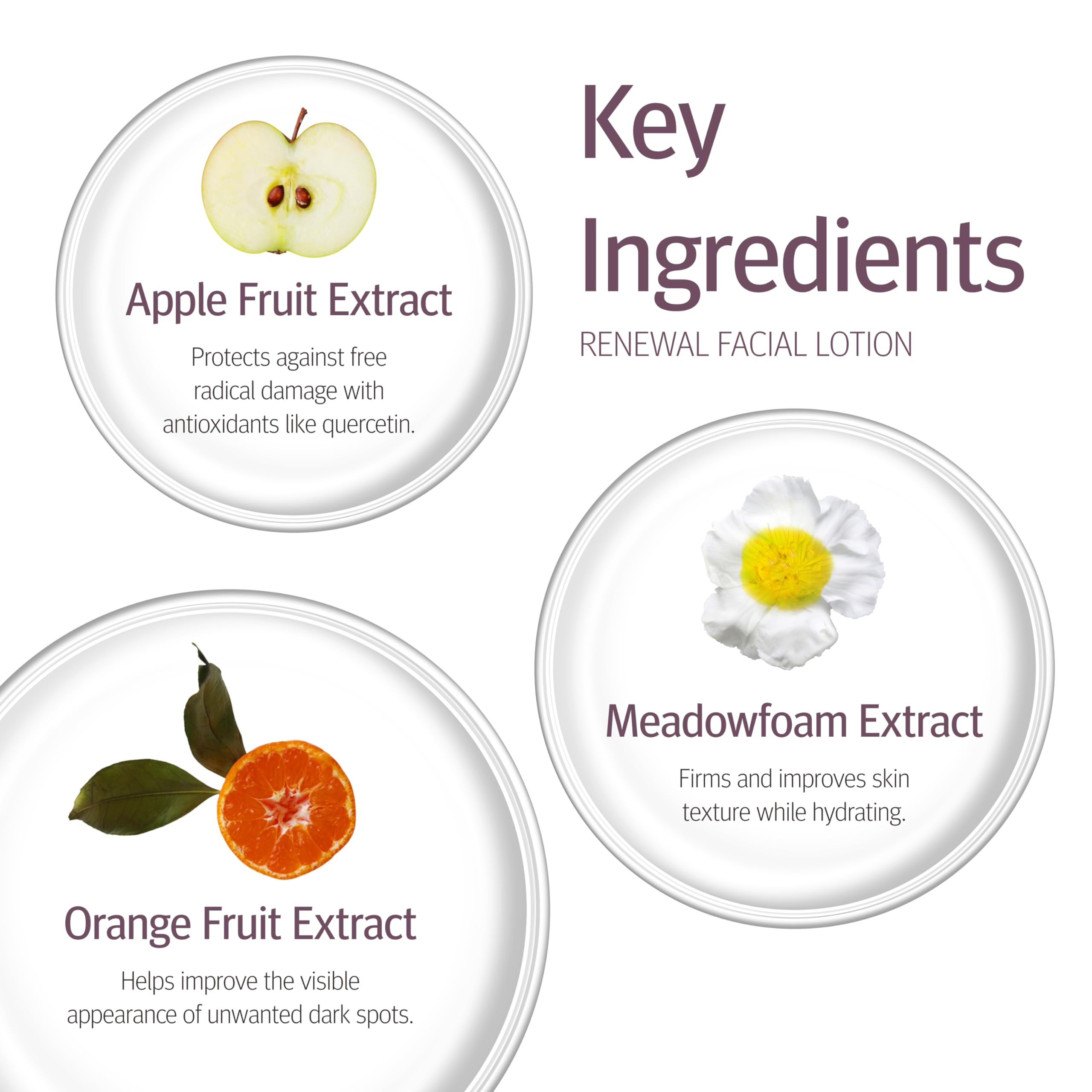 Epionce Renewal Lite Facial Lotion 1.7 Oz