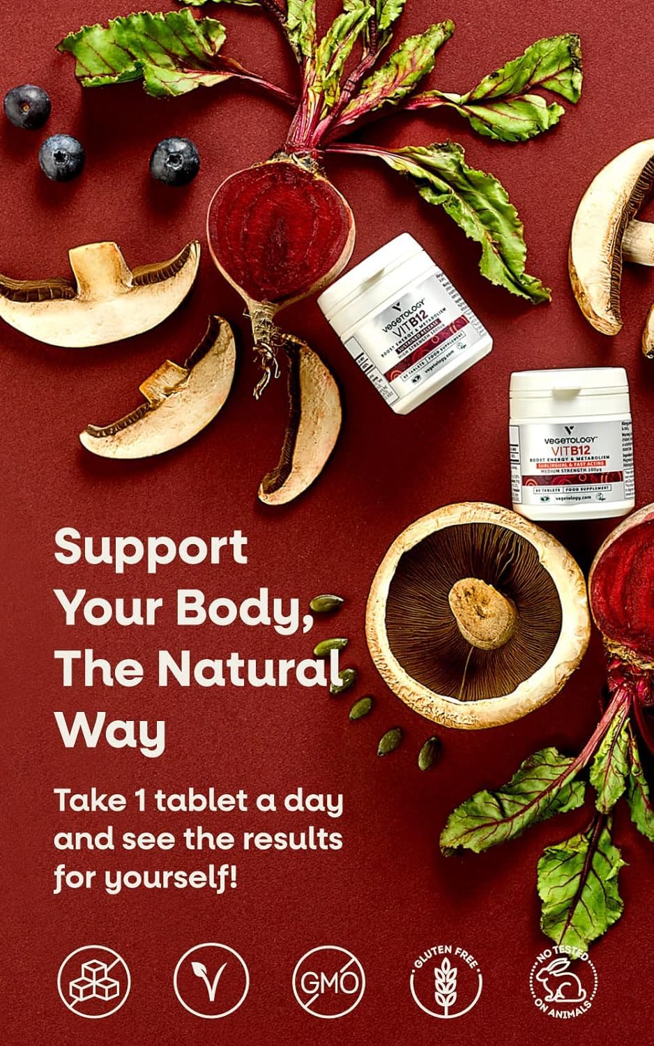 VEGETOLOGY Vegan Vitamin B12 Sublingual Energy Supplements — Metabolism Vitamins & Health Supplements — Daily Supplements (60 Vitamin Tablets)